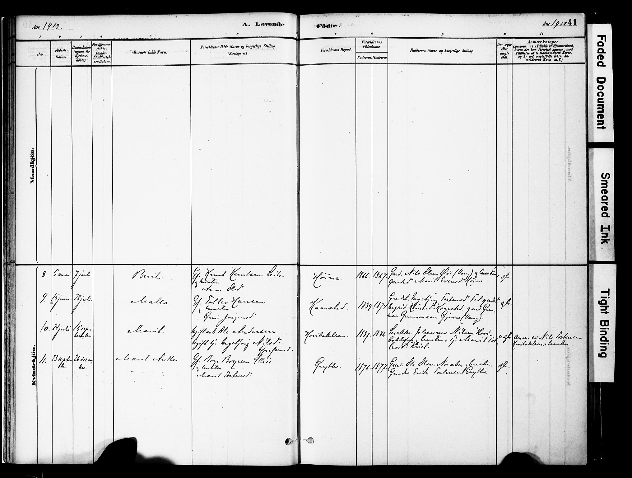 Vestre Slidre prestekontor, AV/SAH-PREST-136/H/Ha/Haa/L0005: Parish register (official) no. 5, 1881-1912, p. 41