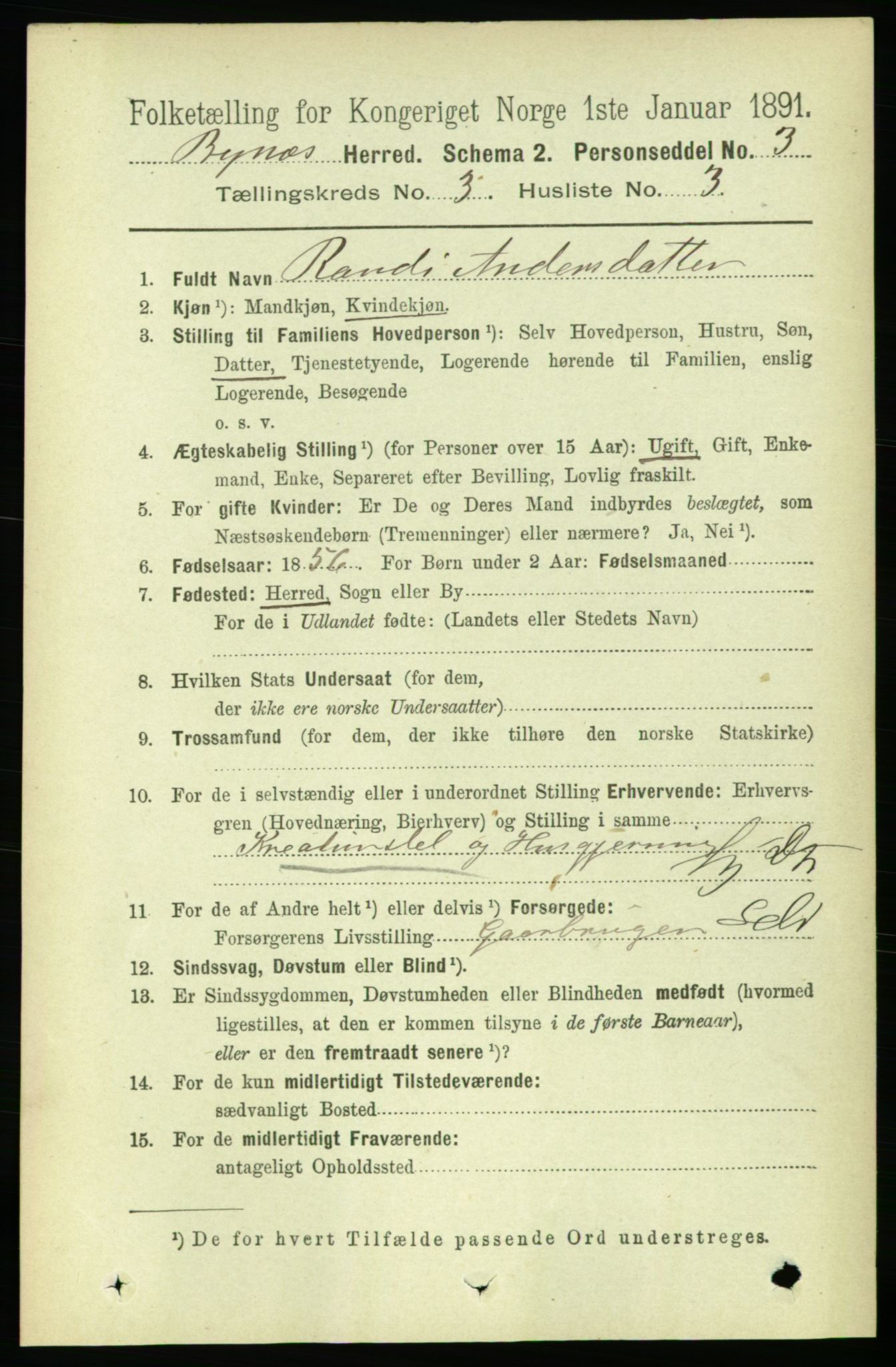RA, 1891 census for 1655 Byneset, 1891, p. 1303