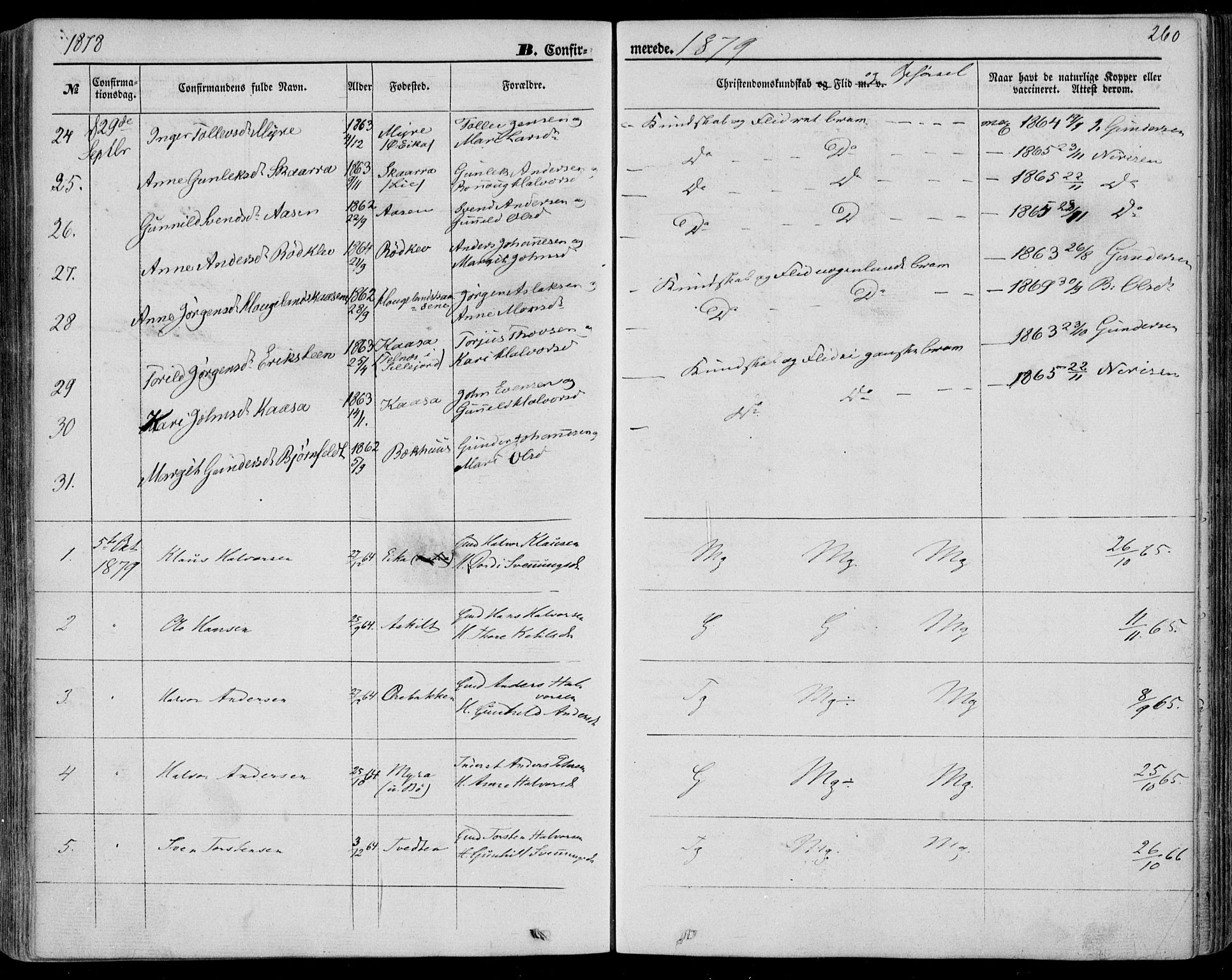Bø kirkebøker, SAKO/A-257/F/Fa/L0009: Parish register (official) no. 9, 1862-1879, p. 260