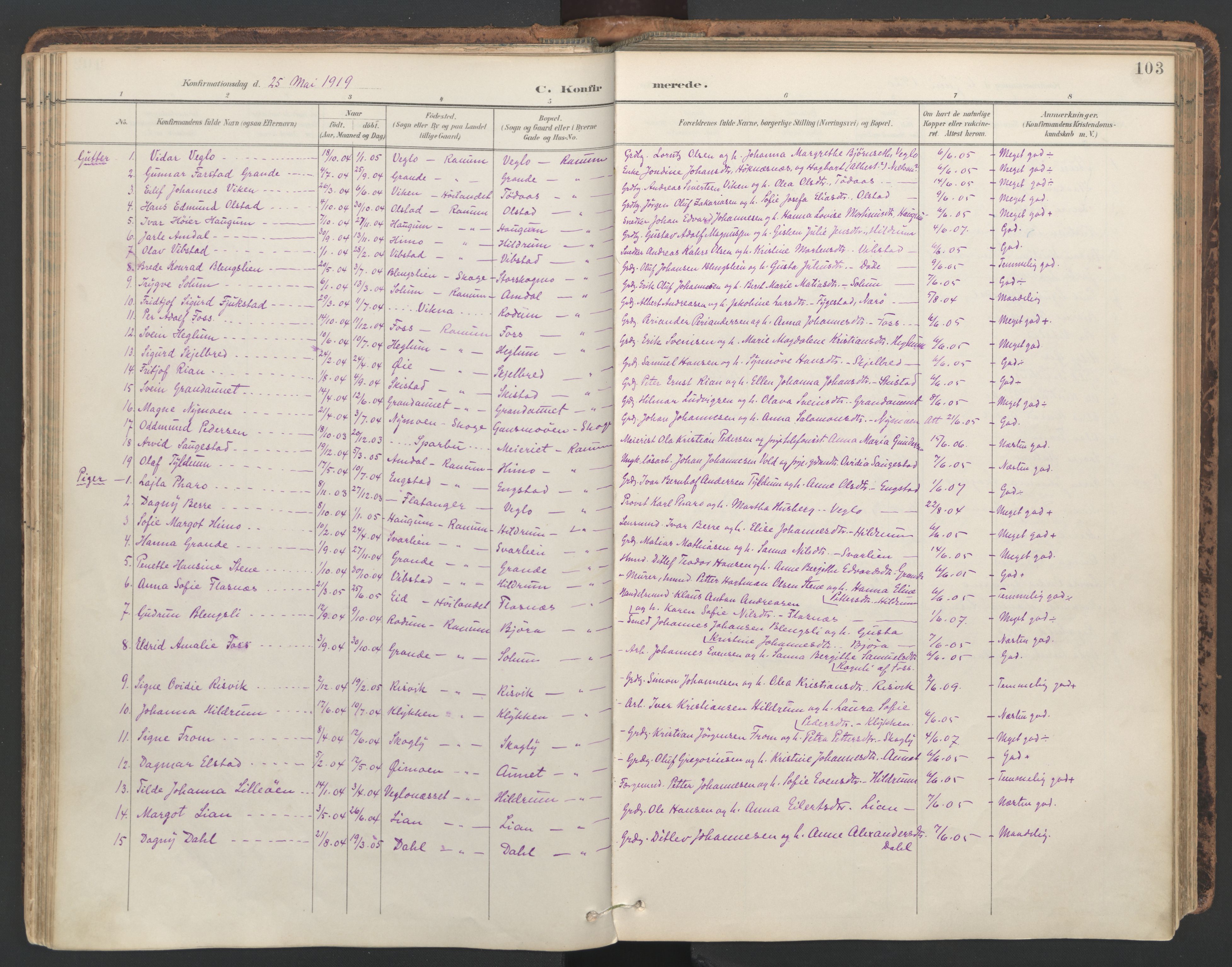 Ministerialprotokoller, klokkerbøker og fødselsregistre - Nord-Trøndelag, SAT/A-1458/764/L0556: Parish register (official) no. 764A11, 1897-1924, p. 103