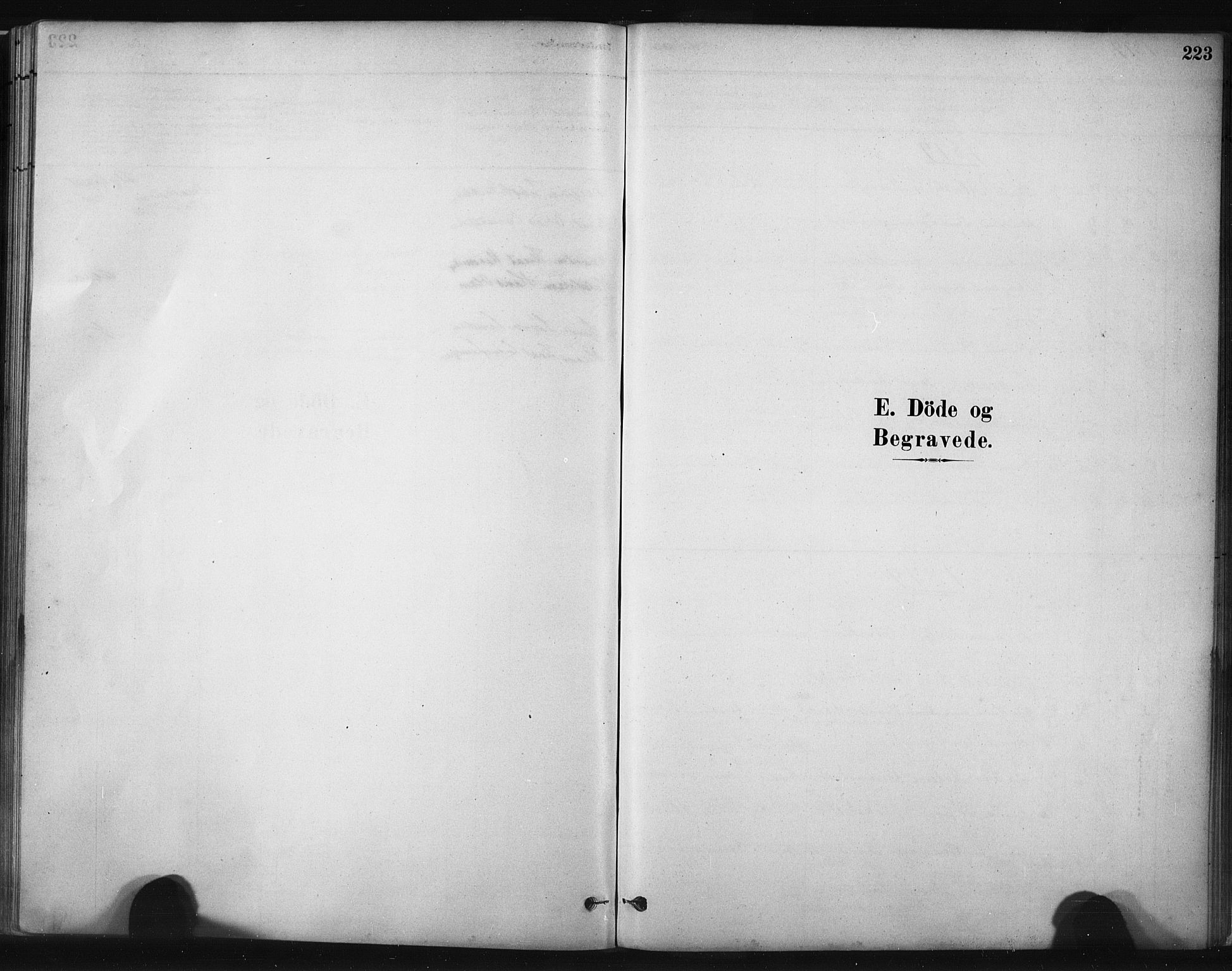 Hå sokneprestkontor, SAST/A-101801/001/30BA/L0011: Parish register (official) no. A 10, 1879-1900, p. 223