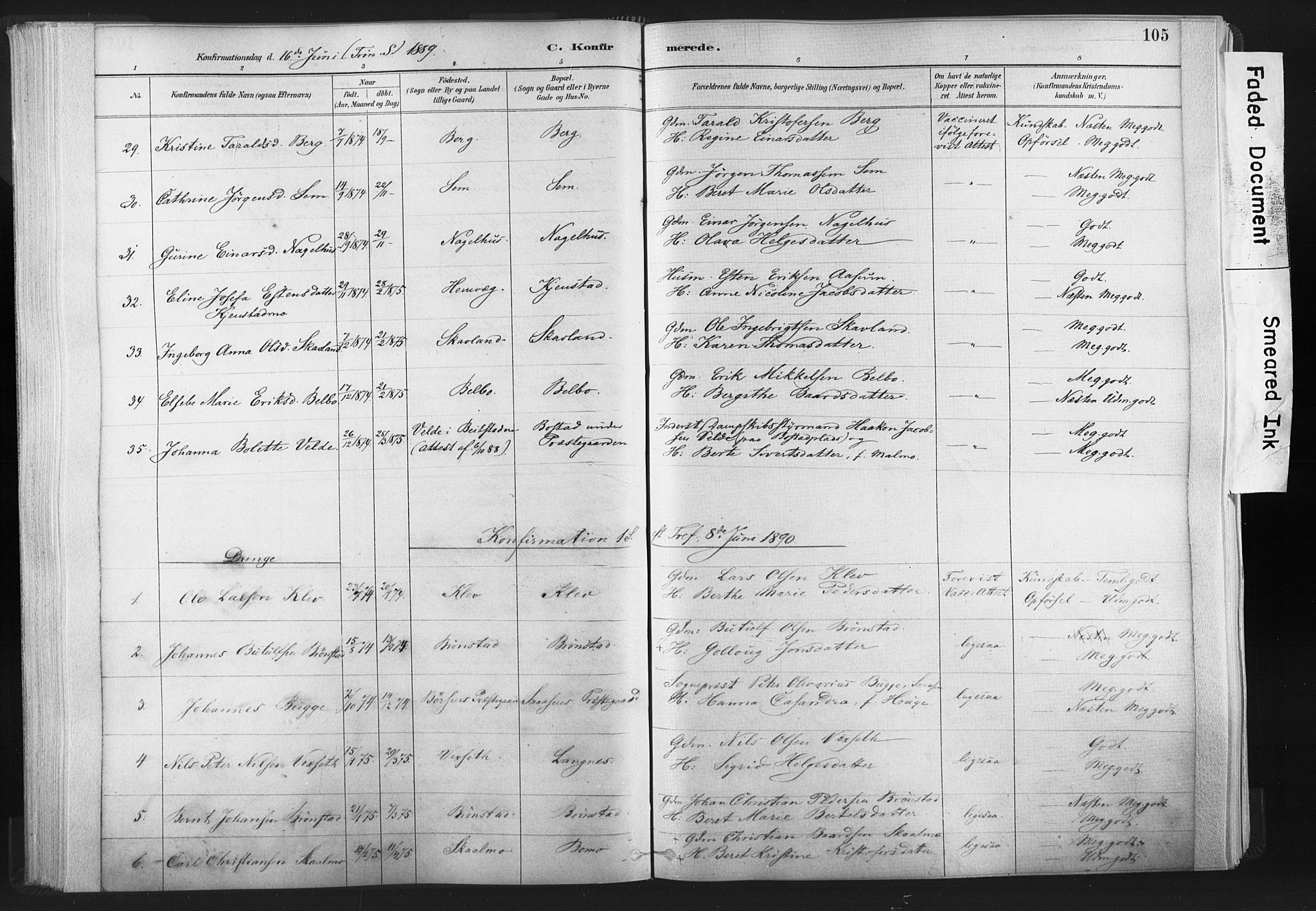 Ministerialprotokoller, klokkerbøker og fødselsregistre - Nord-Trøndelag, SAT/A-1458/749/L0474: Parish register (official) no. 749A08, 1887-1903, p. 105