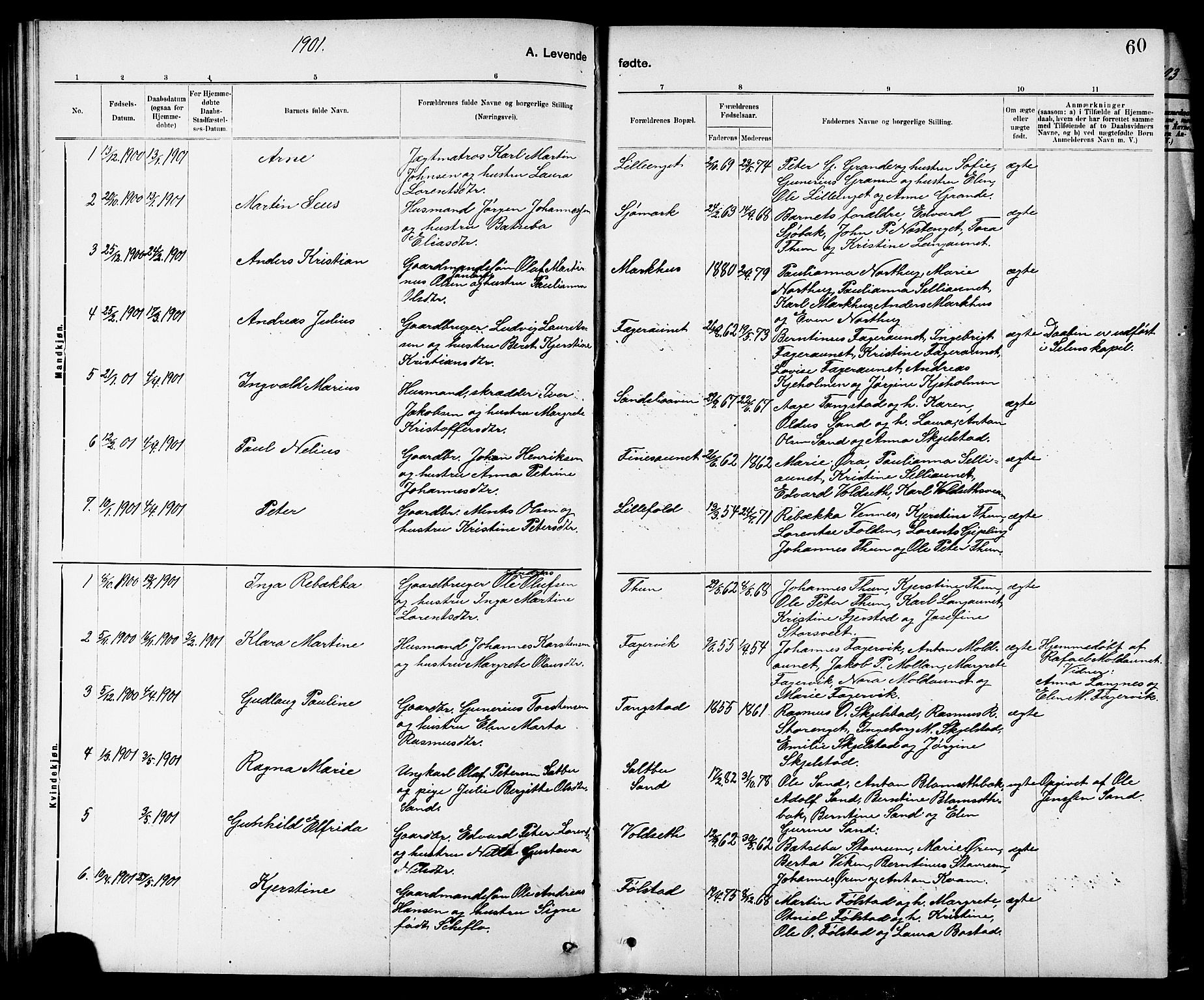 Ministerialprotokoller, klokkerbøker og fødselsregistre - Nord-Trøndelag, AV/SAT-A-1458/744/L0423: Parish register (copy) no. 744C02, 1886-1905, p. 60