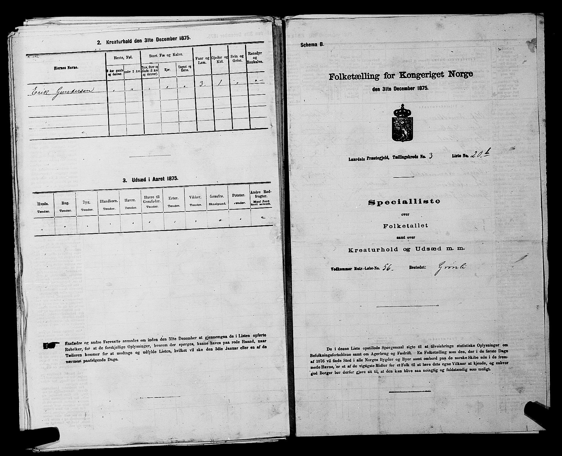 SAKO, 1875 census for 0833P Lårdal, 1875, p. 411