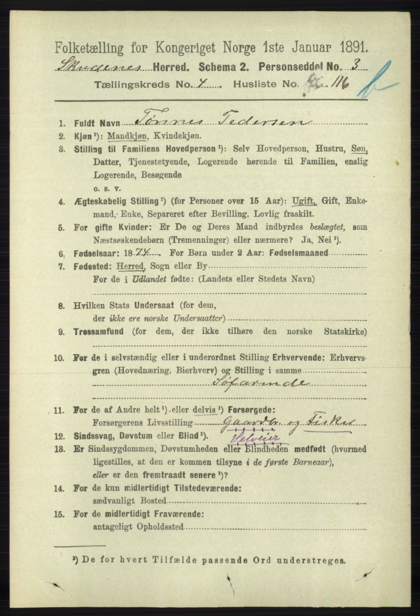 RA, 1891 census for 1150 Skudenes, 1891, p. 5156