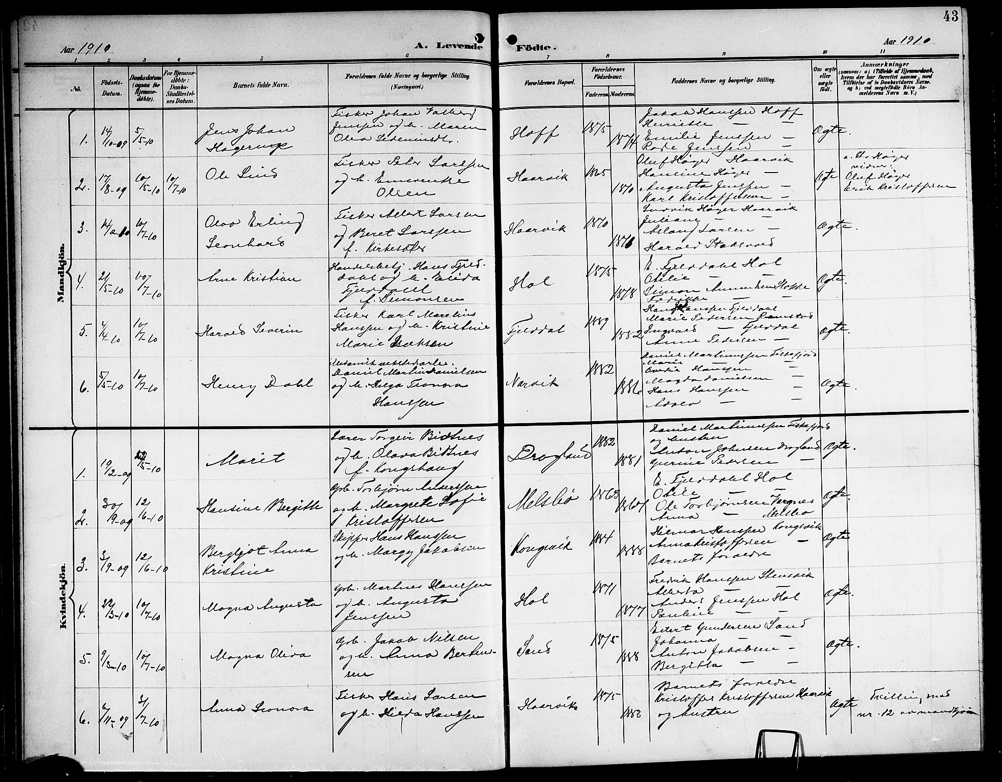 Ministerialprotokoller, klokkerbøker og fødselsregistre - Nordland, AV/SAT-A-1459/865/L0932: Parish register (copy) no. 865C04, 1901-1917, p. 43