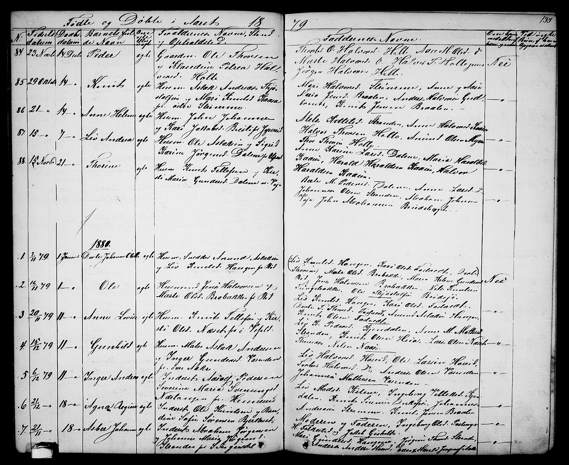 Drangedal kirkebøker, SAKO/A-258/G/Ga/L0002: Parish register (copy) no. I 2, 1856-1887, p. 135