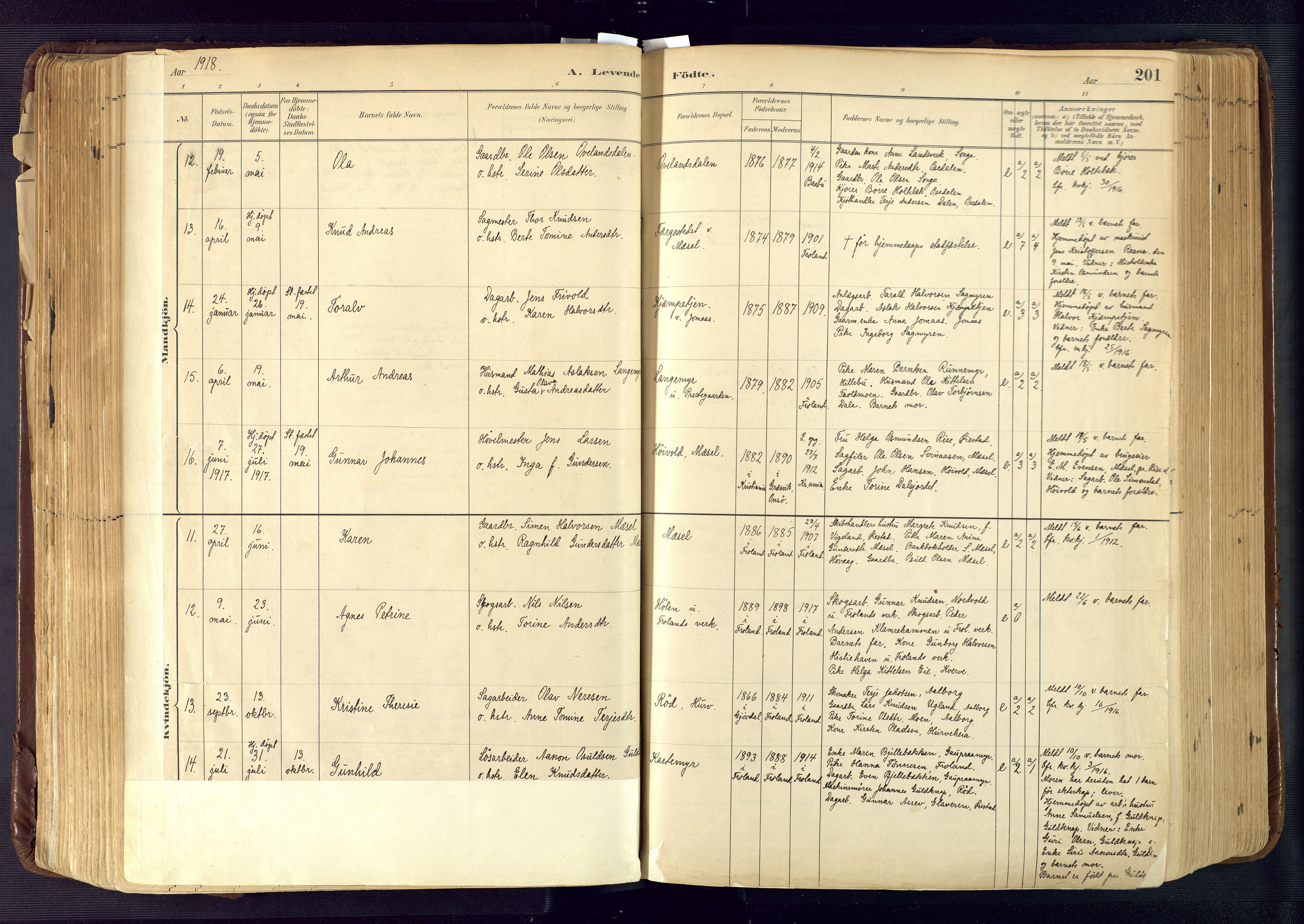 Froland sokneprestkontor, AV/SAK-1111-0013/F/Fa/L0005: Parish register (official) no. A 5, 1882-1921, p. 201