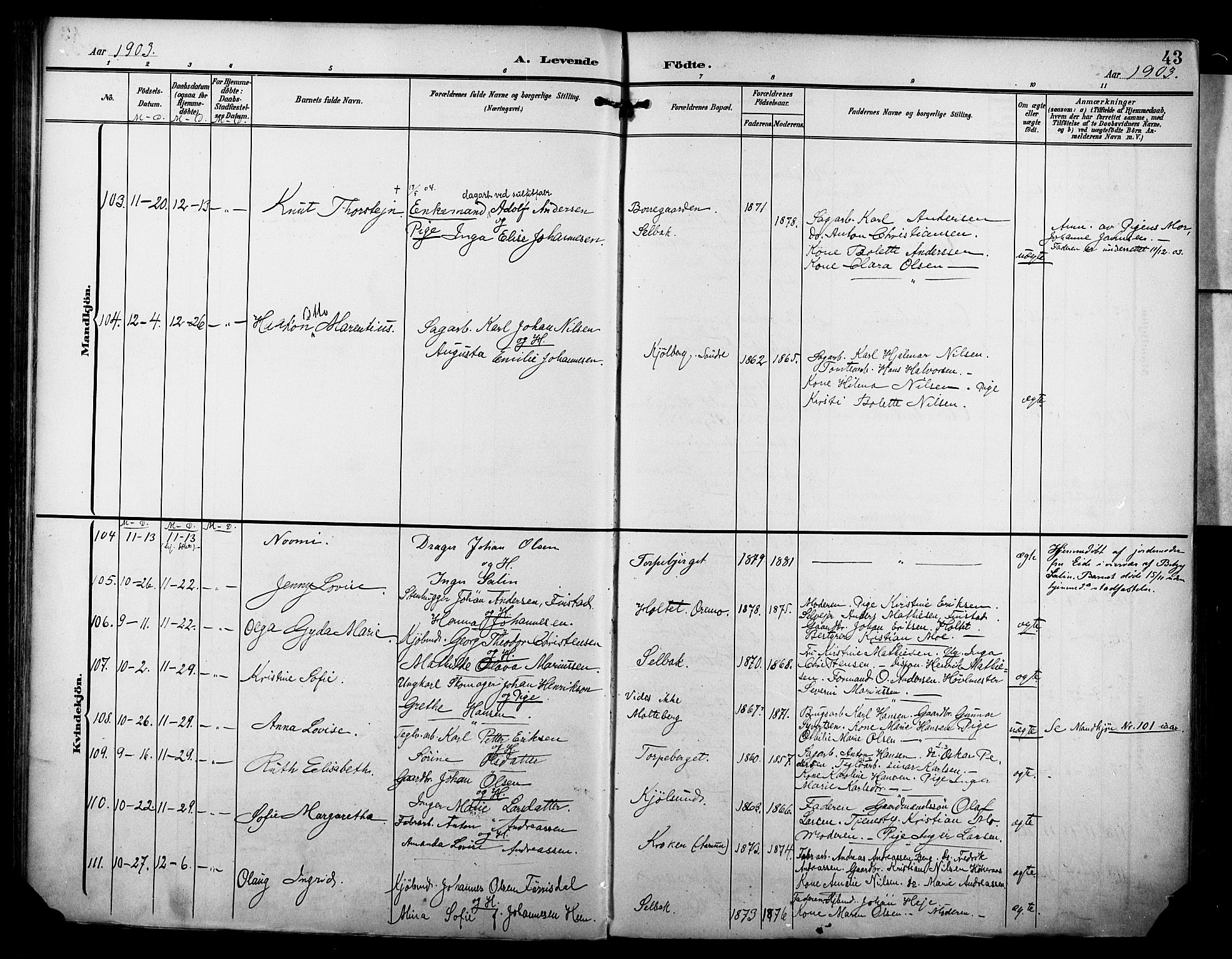 Borge prestekontor Kirkebøker, AV/SAO-A-10903/F/Fa/L0009: Parish register (official) no. I 9, 1902-1911, p. 43