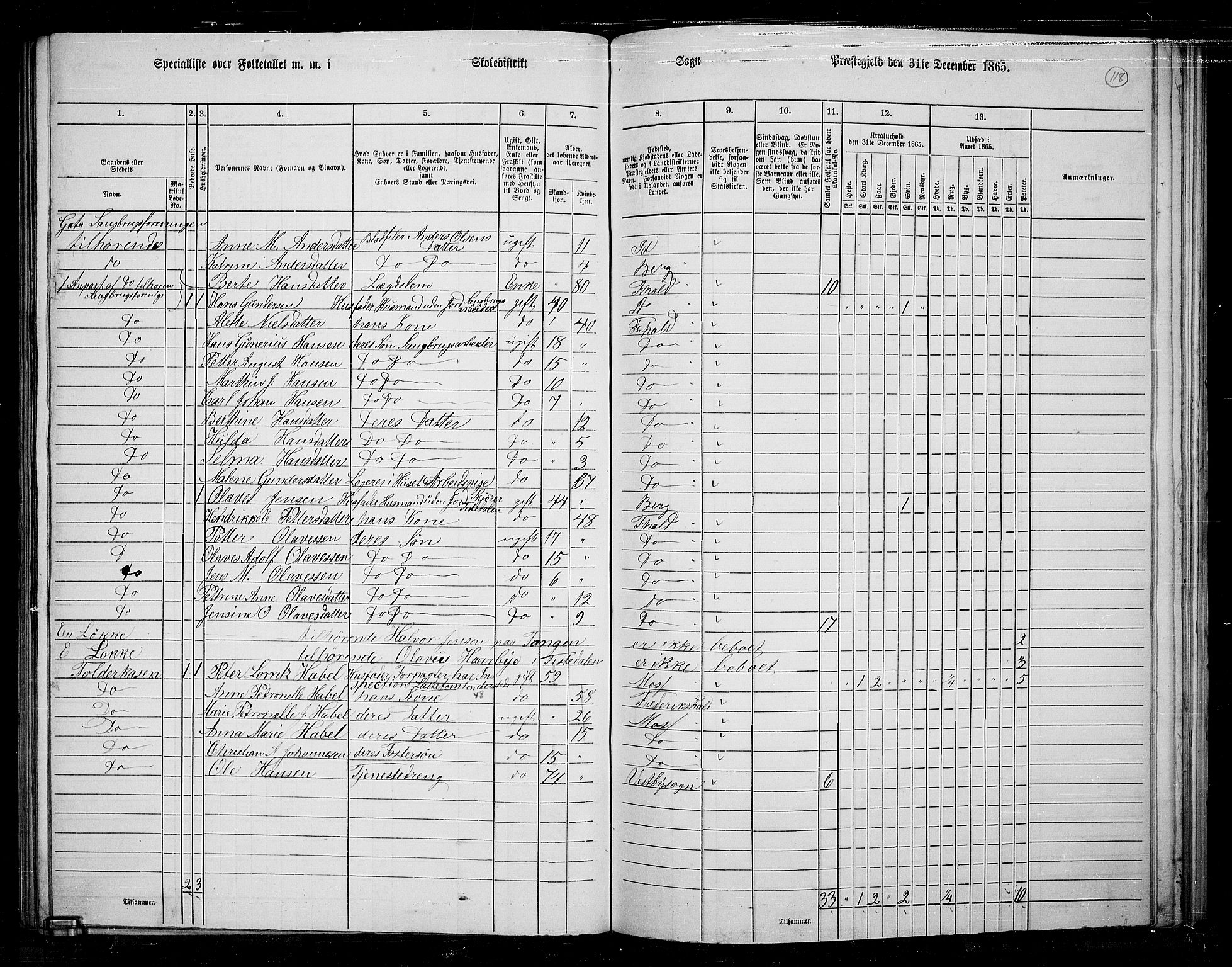 RA, 1865 census for Berg, 1865, p. 107