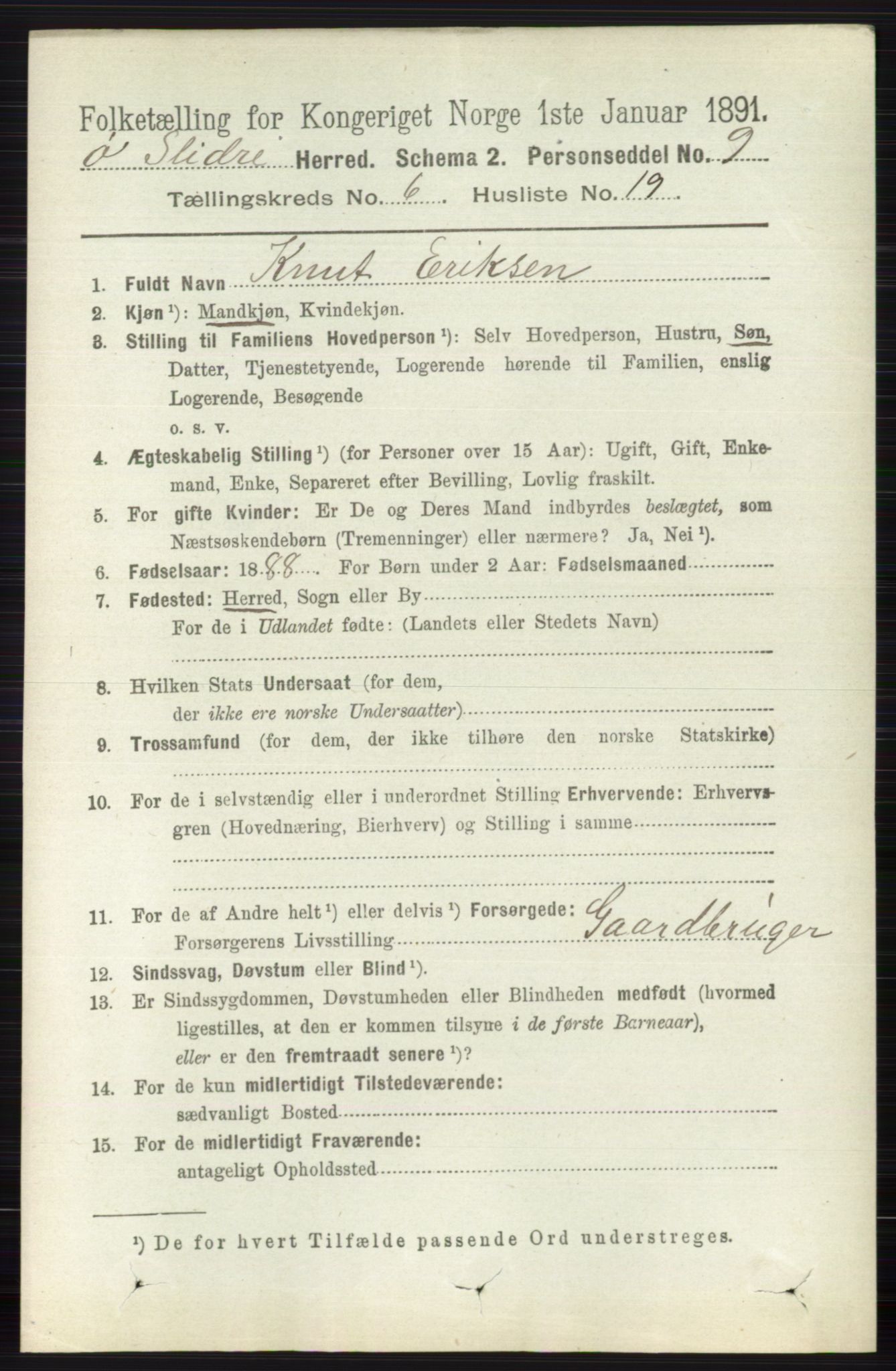 RA, 1891 census for 0544 Øystre Slidre, 1891, p. 1902