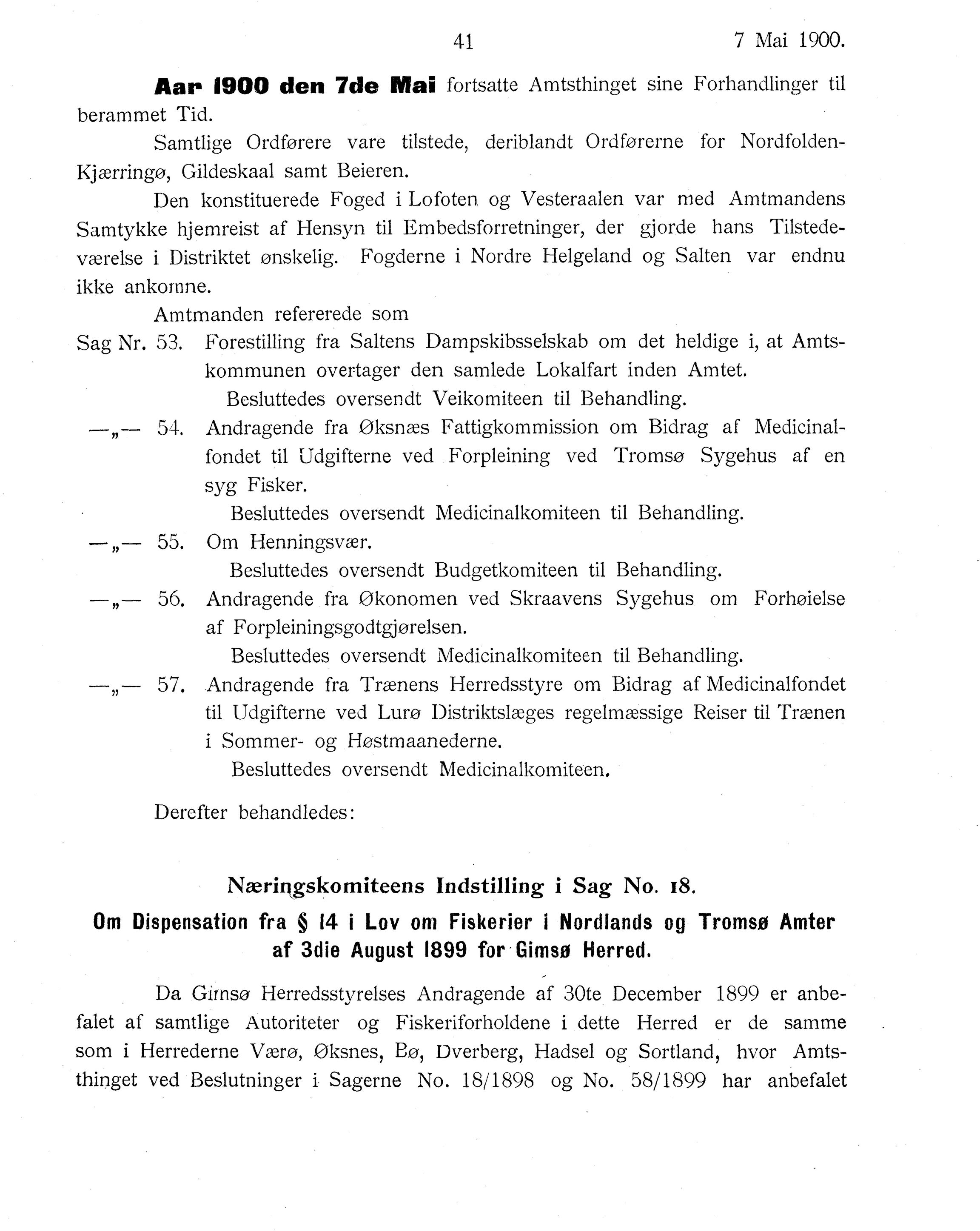 Nordland Fylkeskommune. Fylkestinget, AIN/NFK-17/176/A/Ac/L0023: Fylkestingsforhandlinger 1900, 1900, p. 41
