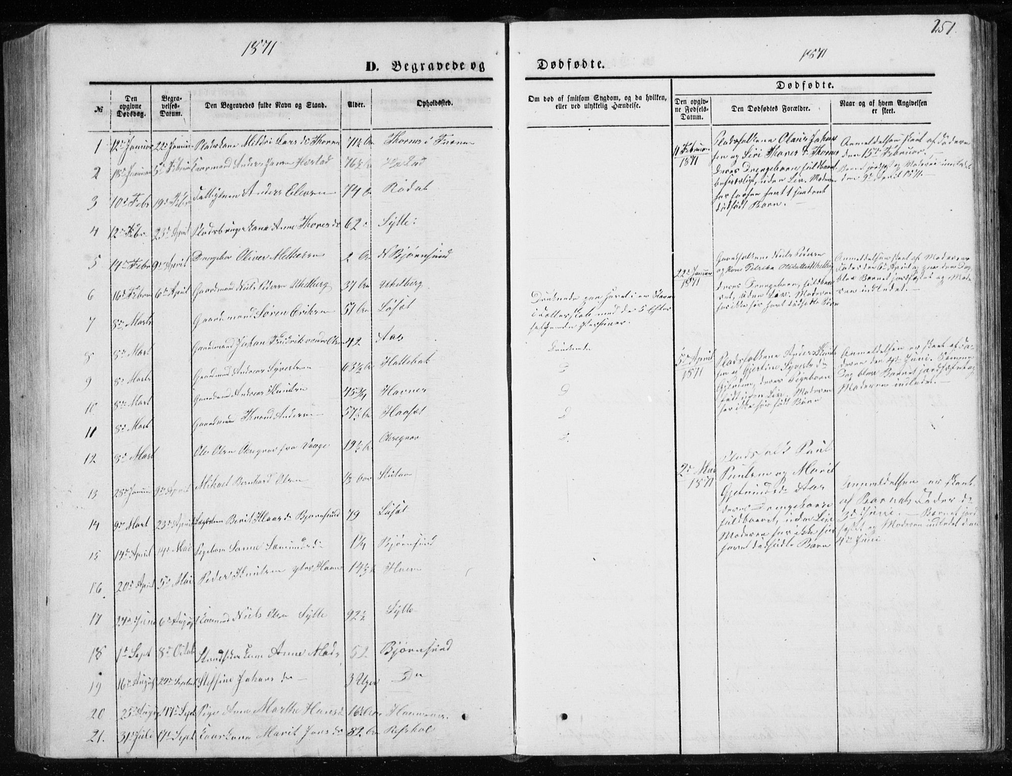 Ministerialprotokoller, klokkerbøker og fødselsregistre - Møre og Romsdal, SAT/A-1454/565/L0754: Parish register (copy) no. 565C03, 1870-1896, p. 251