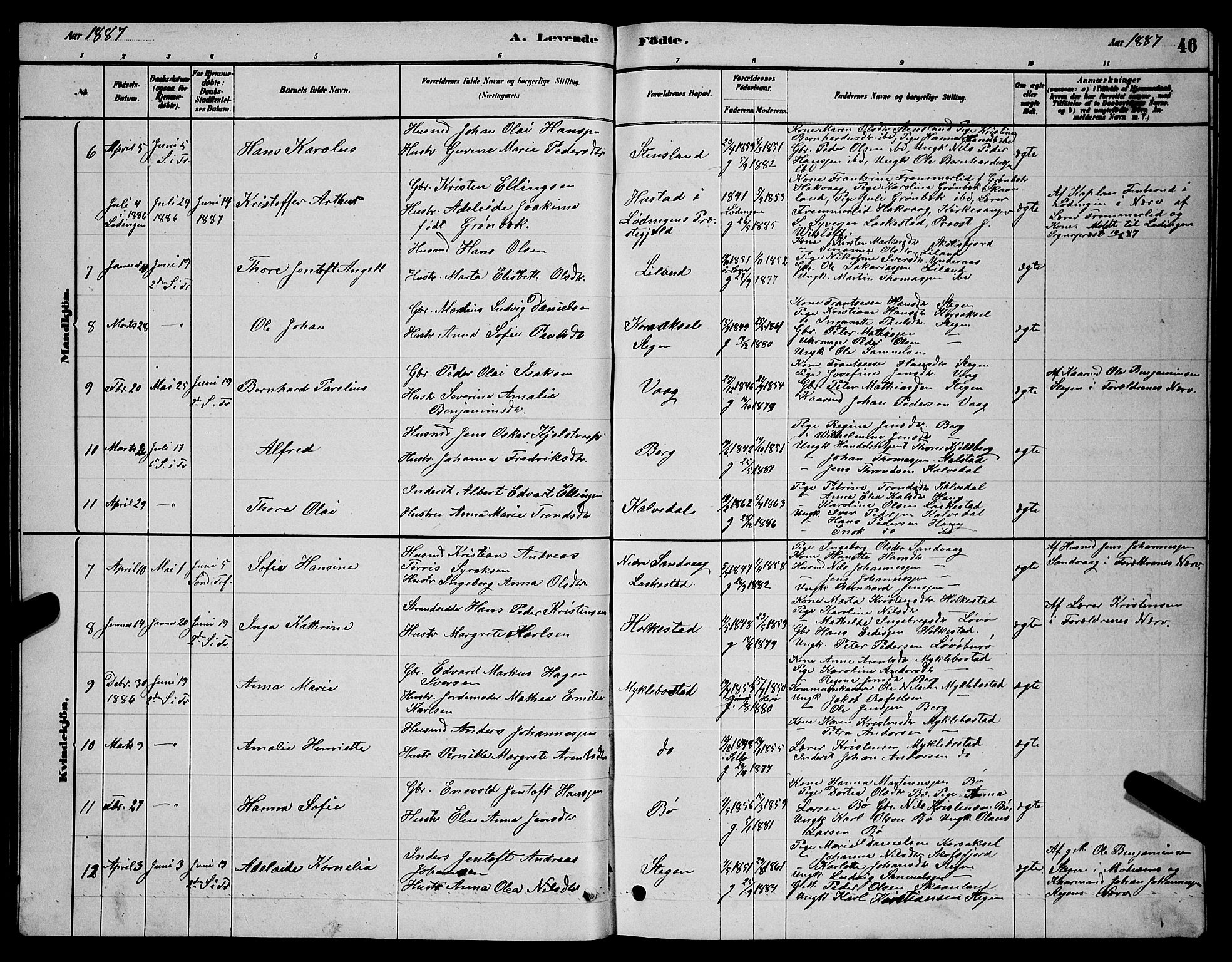 Ministerialprotokoller, klokkerbøker og fødselsregistre - Nordland, AV/SAT-A-1459/855/L0816: Parish register (copy) no. 855C05, 1879-1894, p. 46