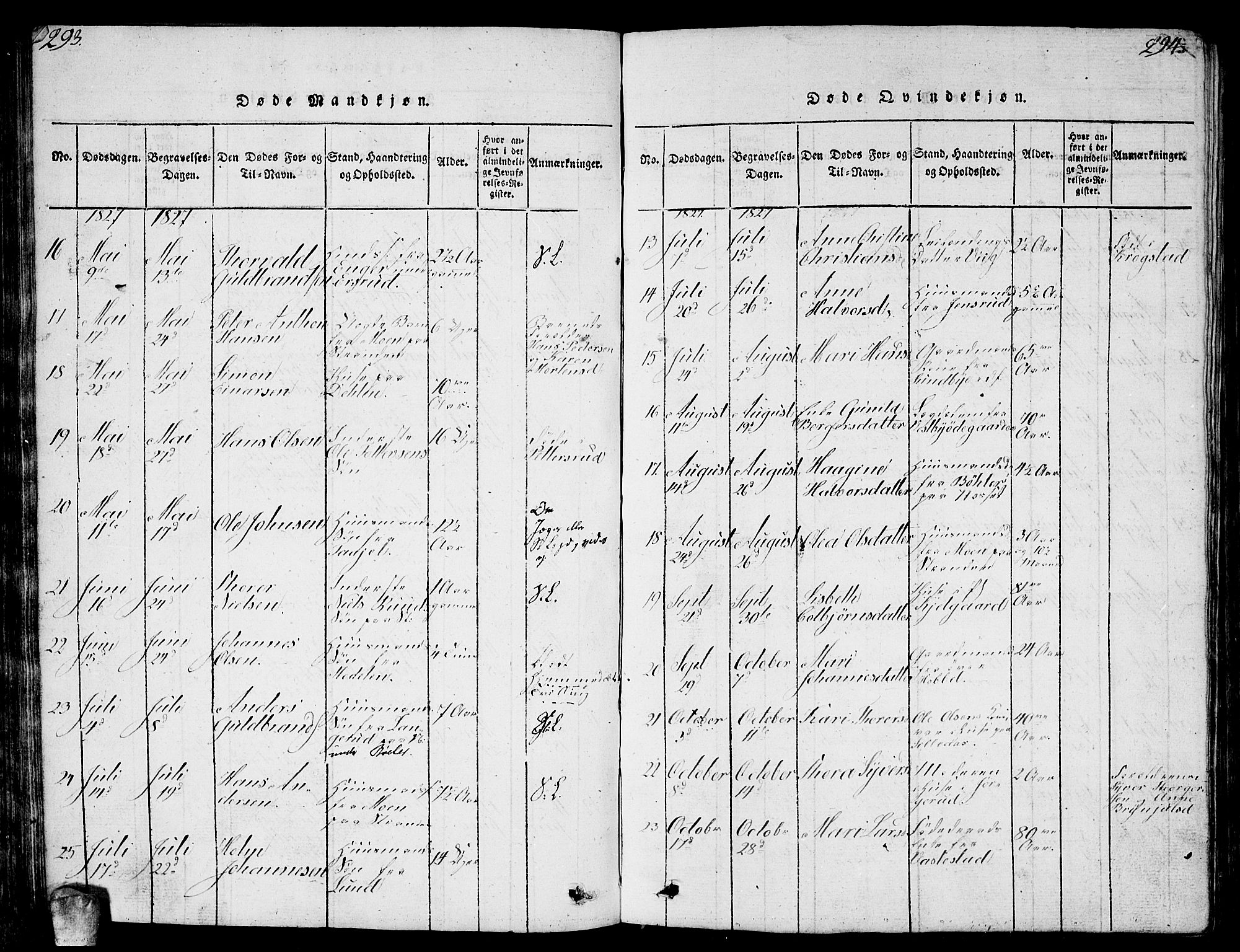 Enebakk prestekontor Kirkebøker, AV/SAO-A-10171c/G/Ga/L0001: Parish register (copy) no. I 1, 1815-1833, p. 293-294