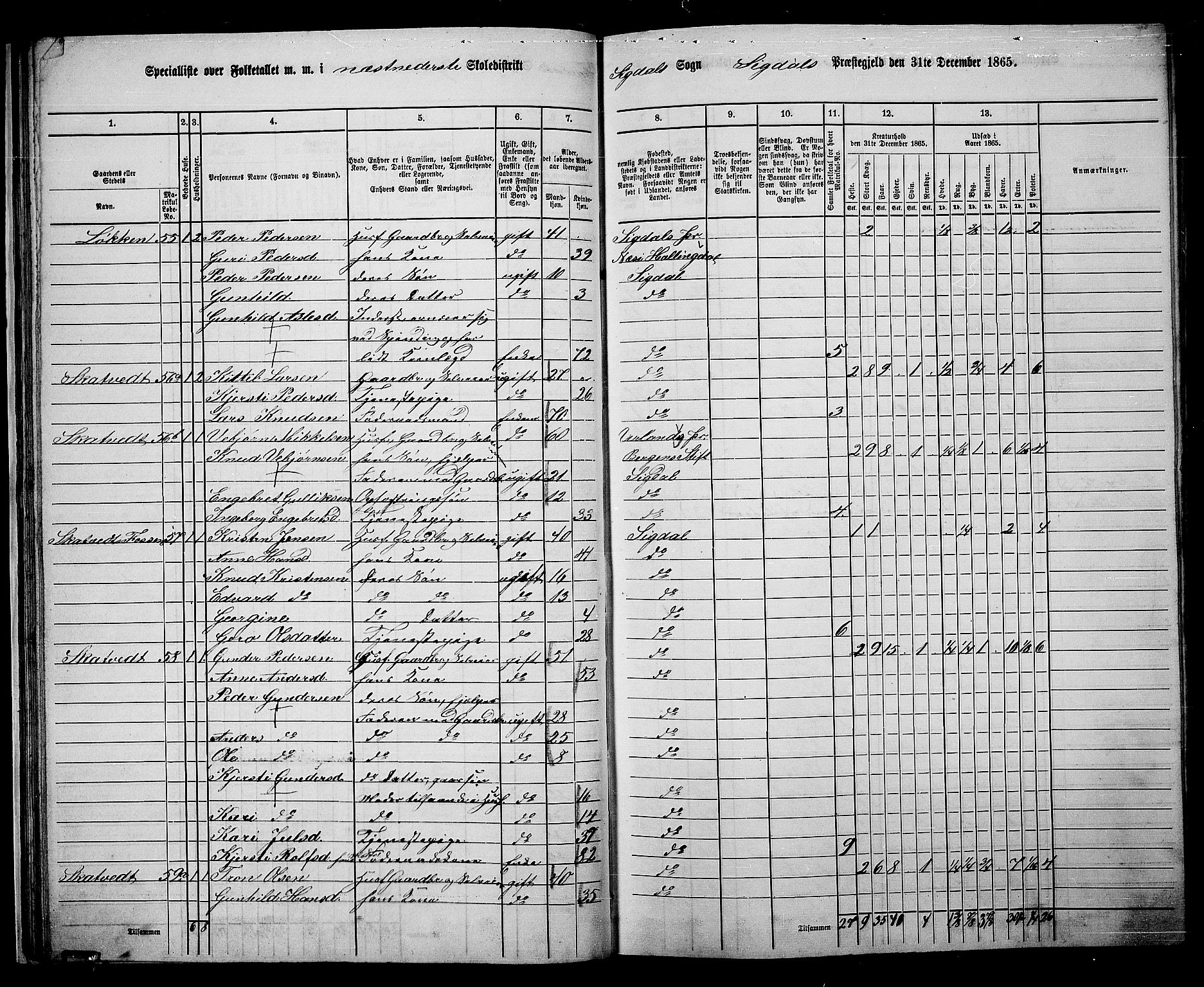 RA, 1865 census for Sigdal, 1865, p. 48