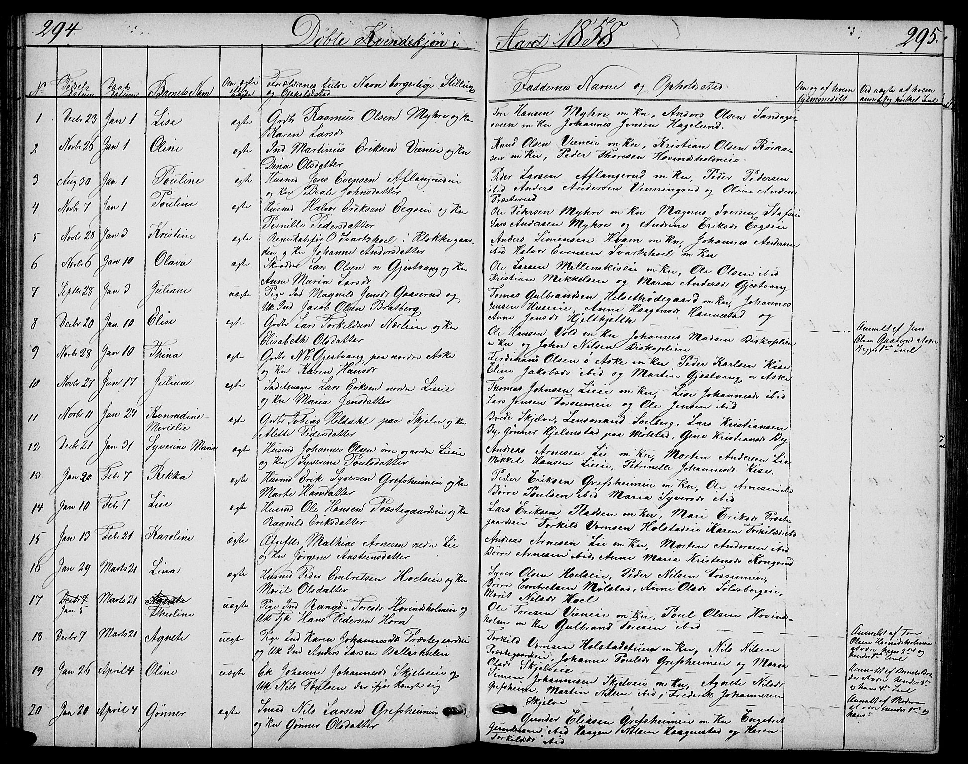 Nes prestekontor, Hedmark, SAH/PREST-020/L/La/L0005: Parish register (copy) no. 5, 1852-1889, p. 294-295