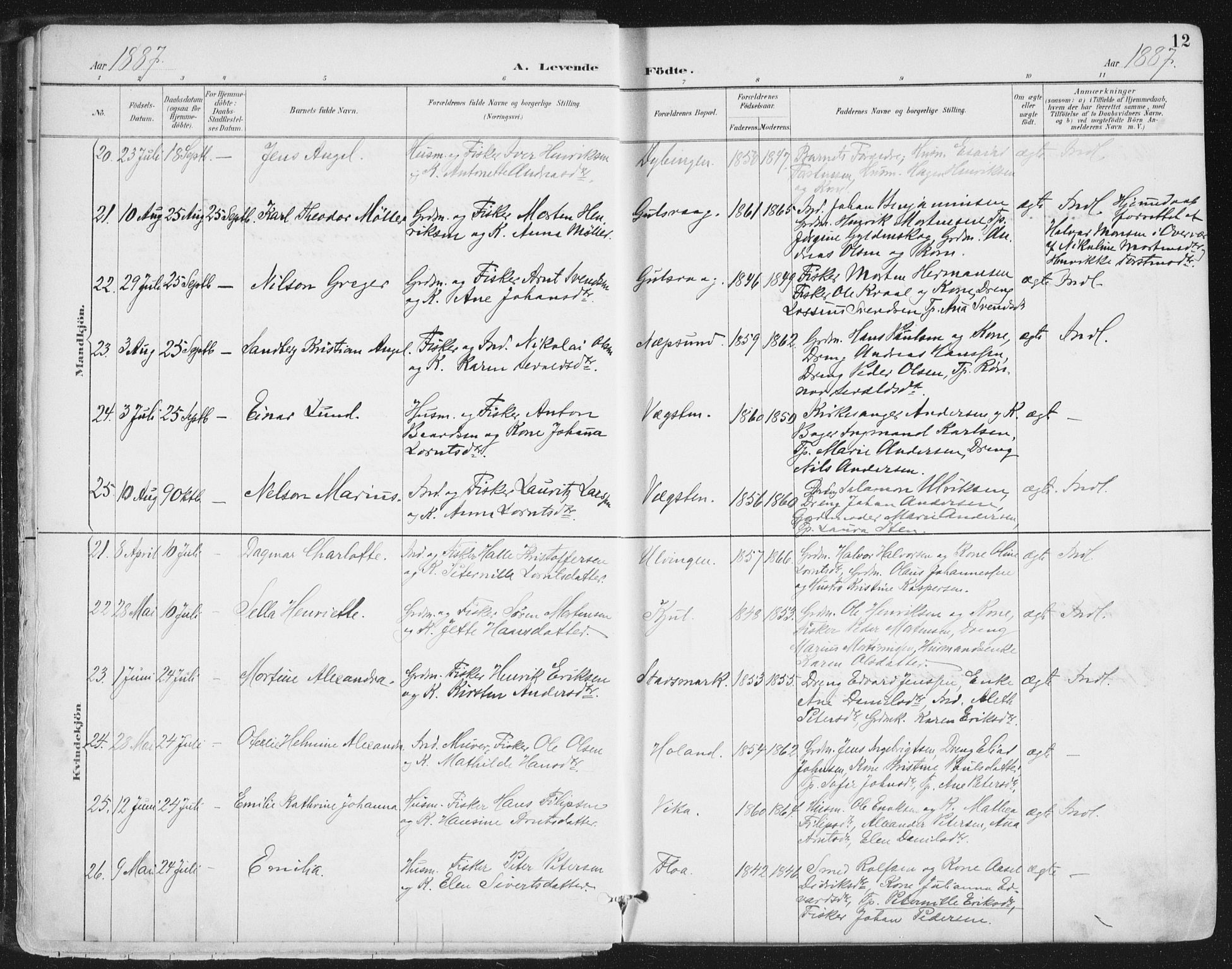 Ministerialprotokoller, klokkerbøker og fødselsregistre - Nordland, SAT/A-1459/816/L0244: Parish register (official) no. 816A10, 1886-1903, p. 12