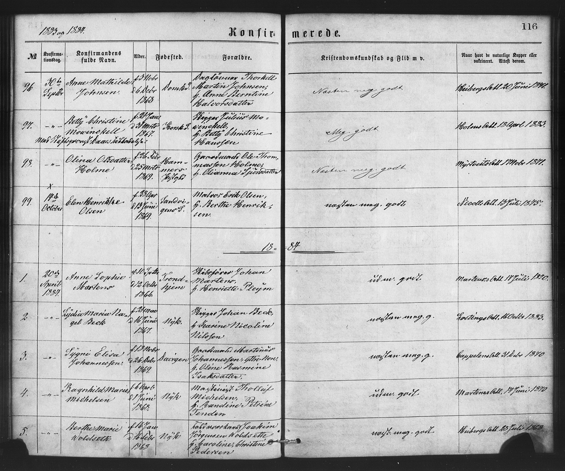 Nykirken Sokneprestembete, SAB/A-77101/H/Haa/L0026: Parish register (official) no. C 5, 1870-1886, p. 116