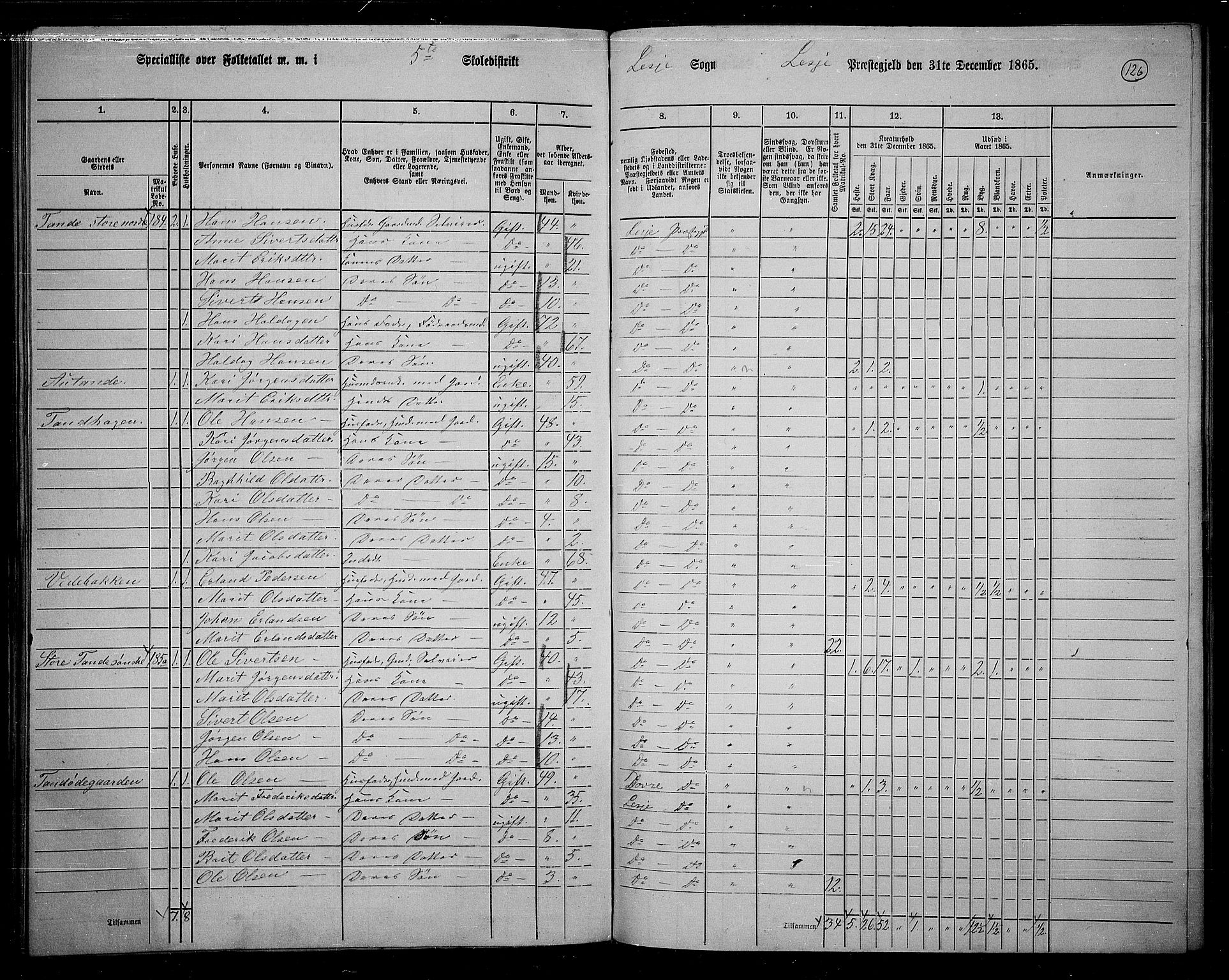 RA, 1865 census for Lesja, 1865, p. 113