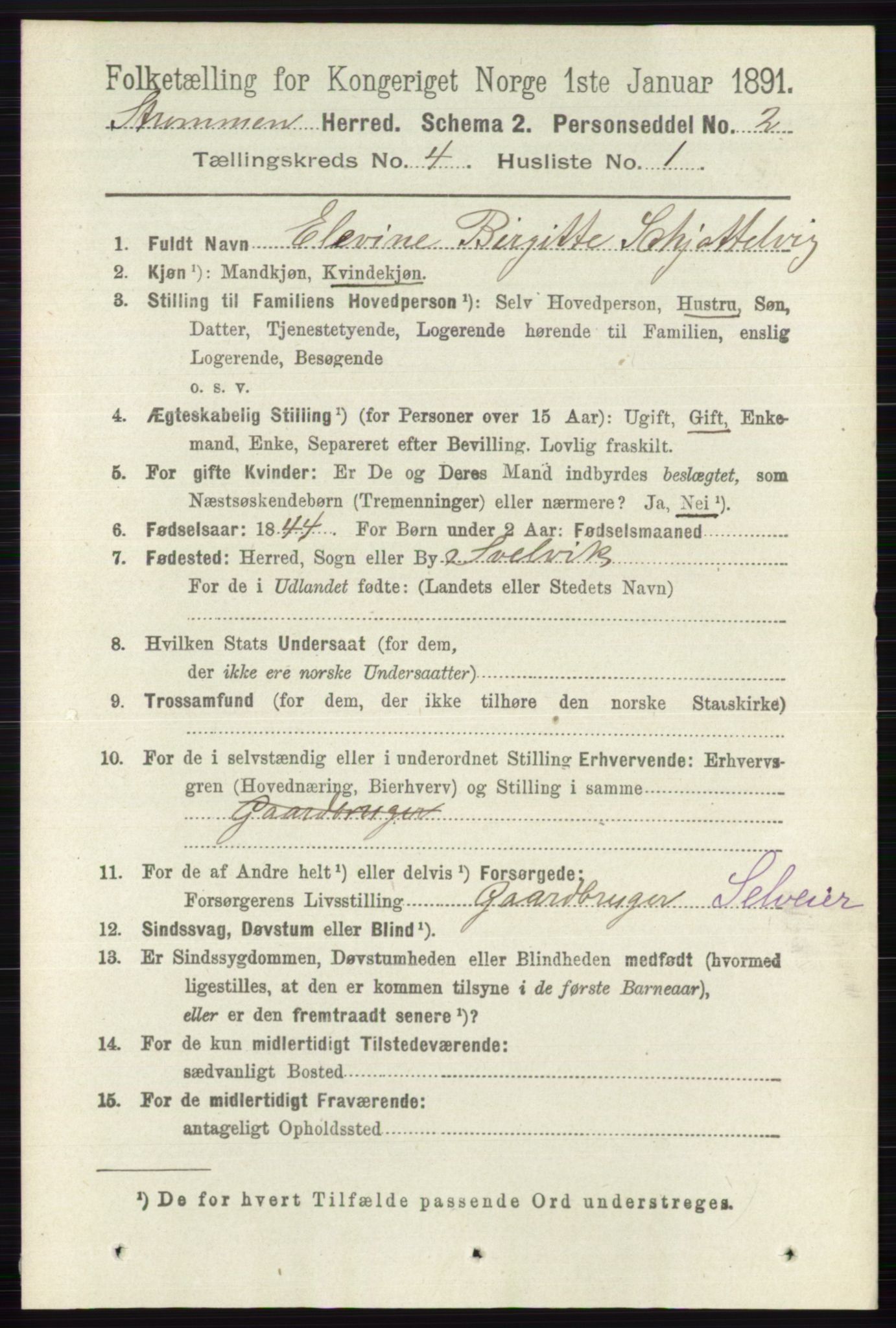 RA, 1891 census for 0711 Strømm, 1891, p. 1582