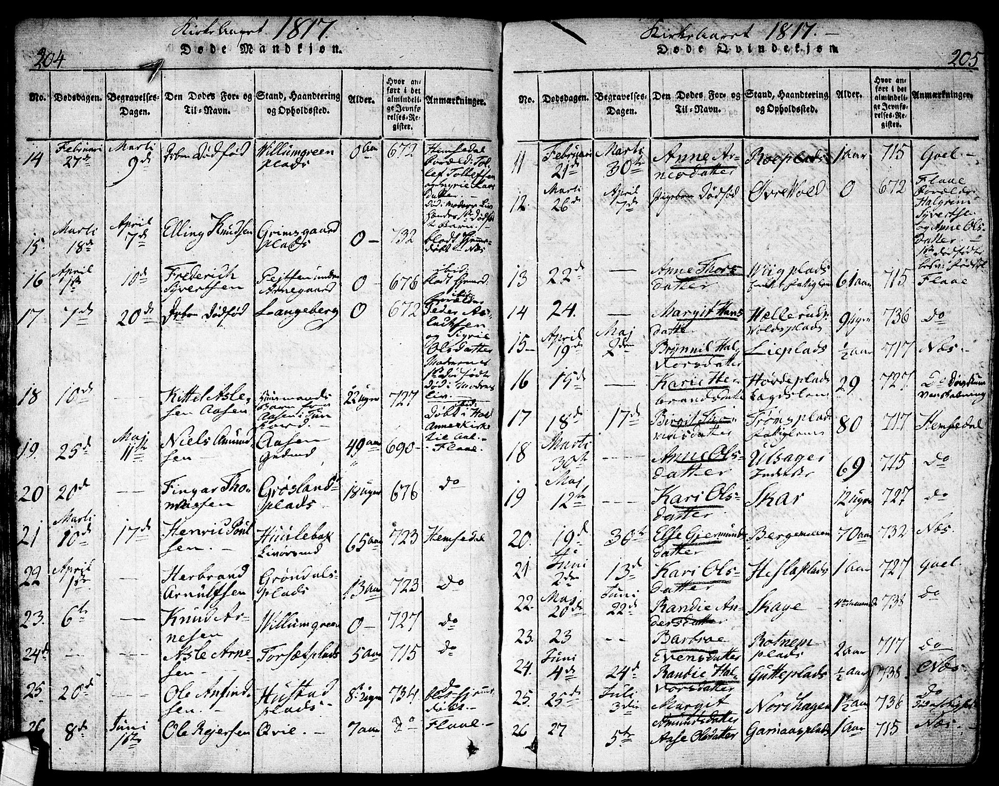 Nes kirkebøker, AV/SAKO-A-236/F/Fa/L0007: Parish register (official) no. 7, 1815-1823, p. 204-205