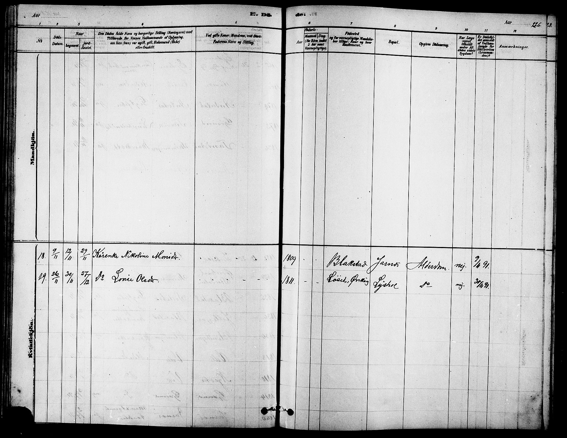 Ministerialprotokoller, klokkerbøker og fødselsregistre - Møre og Romsdal, AV/SAT-A-1454/523/L0339: Parish register (copy) no. 523C02, 1878-1891, p. 226