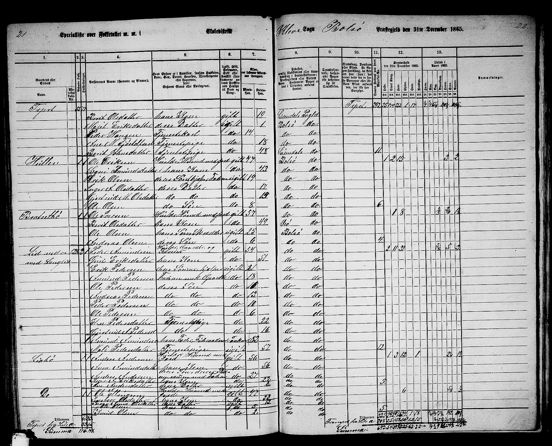 RA, 1865 census for Bolsøy, 1865, p. 108