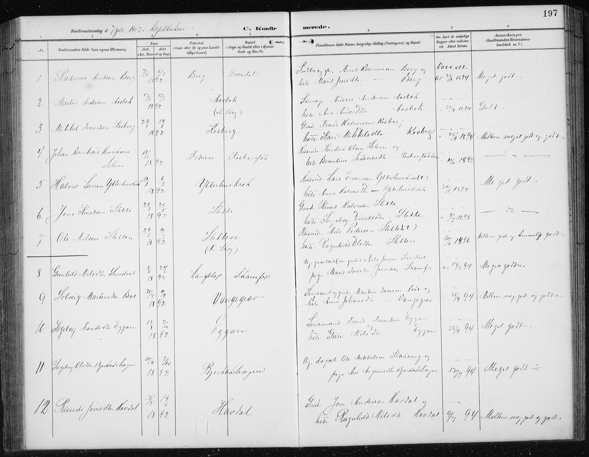 Ministerialprotokoller, klokkerbøker og fødselsregistre - Sør-Trøndelag, SAT/A-1456/674/L0876: Parish register (copy) no. 674C03, 1892-1912, p. 197