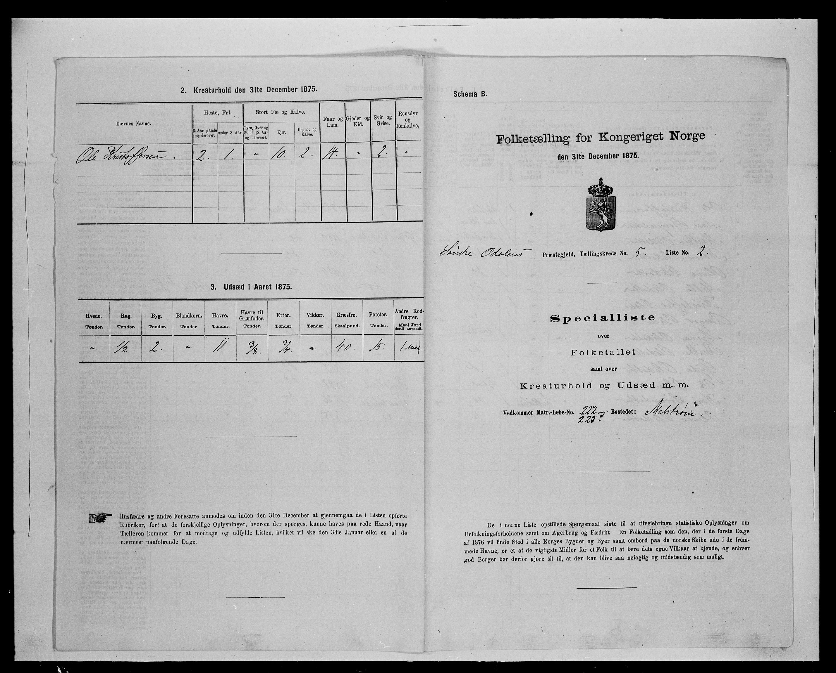 SAH, 1875 census for 0419P Sør-Odal, 1875, p. 490