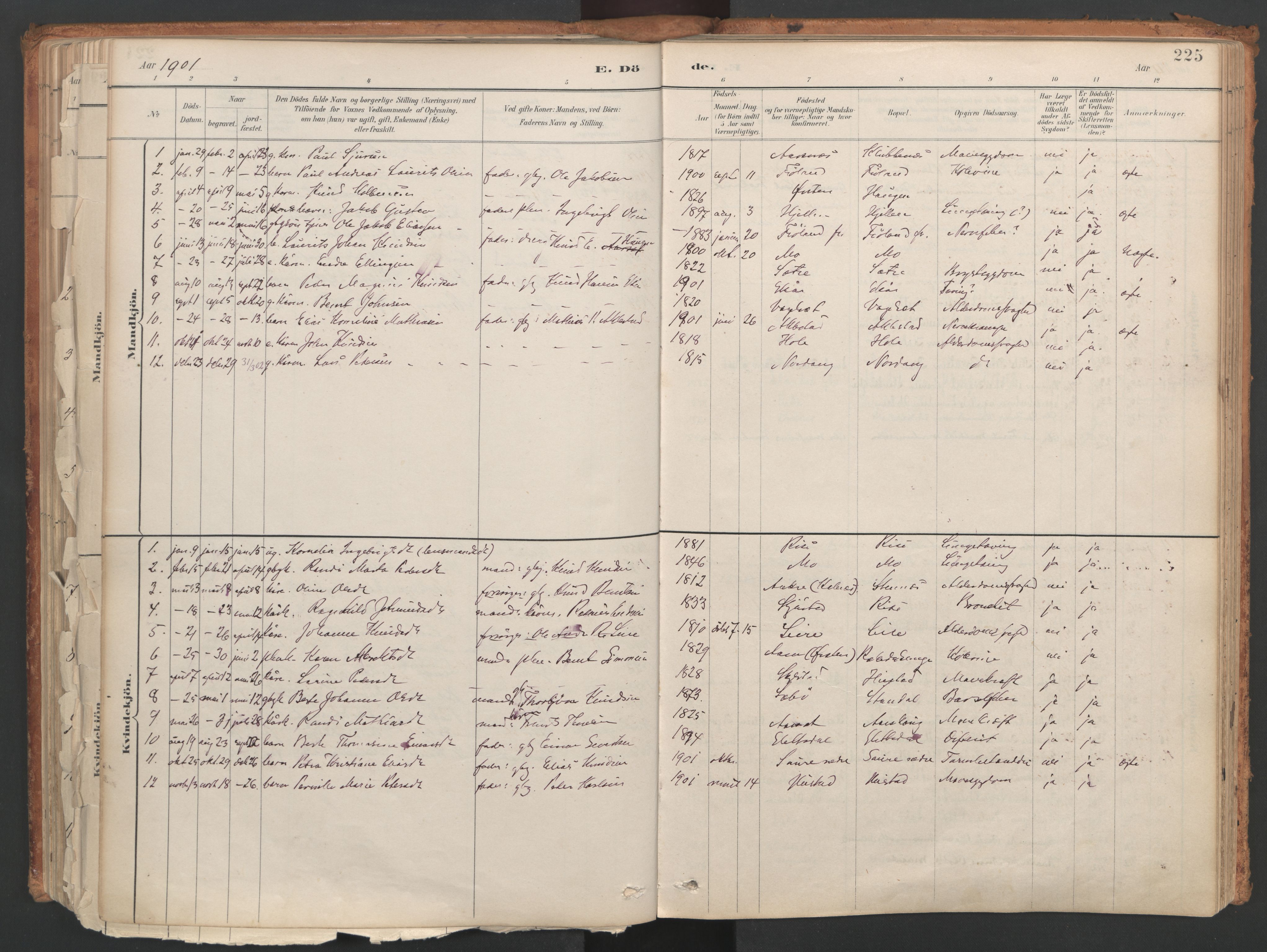 Ministerialprotokoller, klokkerbøker og fødselsregistre - Møre og Romsdal, SAT/A-1454/515/L0211: Parish register (official) no. 515A07, 1886-1910, p. 225