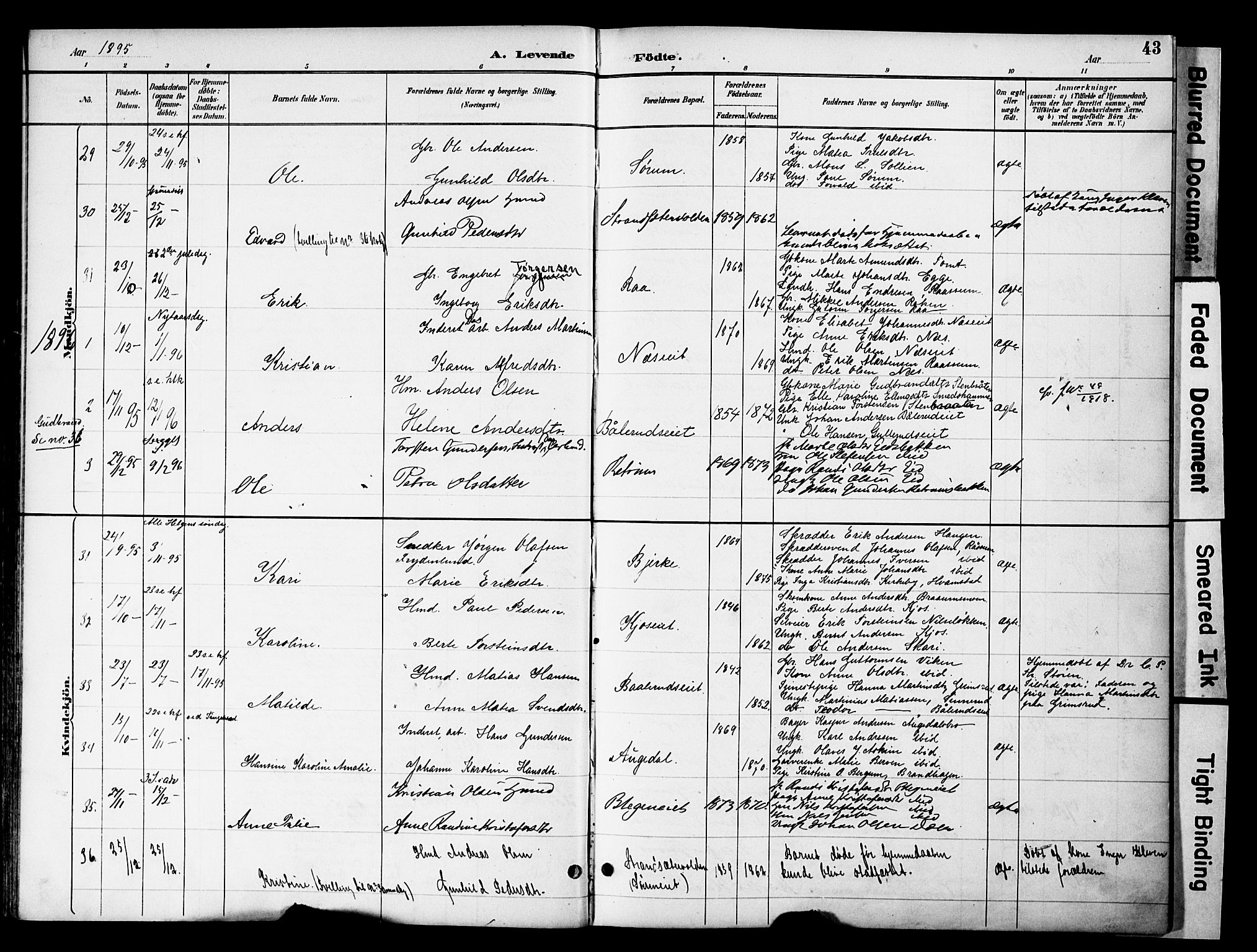 Gran prestekontor, SAH/PREST-112/H/Ha/Haa/L0020: Parish register (official) no. 20, 1889-1899, p. 43