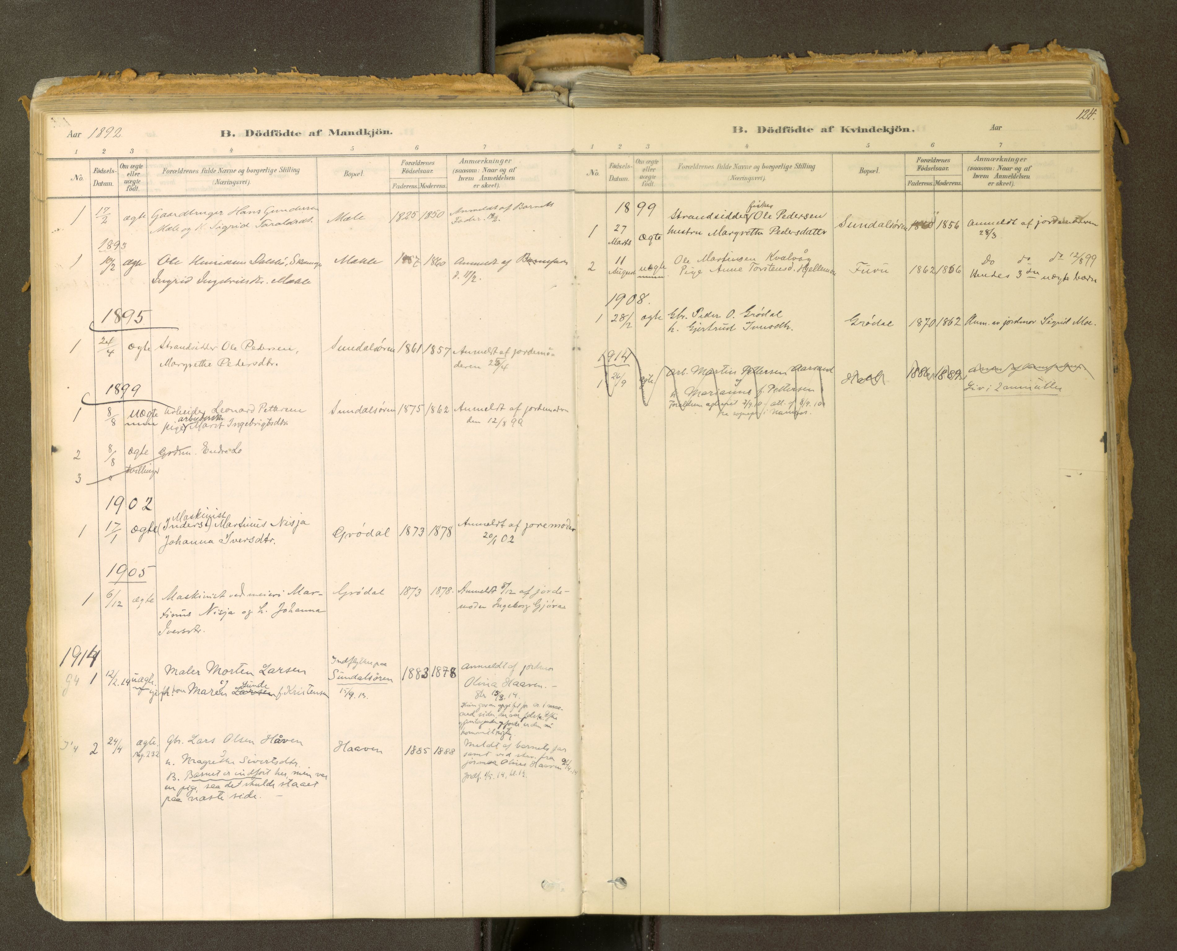 Sunndal sokneprestkontor, SAT/A-1085/1/I/I1/I1a: Parish register (official) no. 2, 1877-1914, p. 124