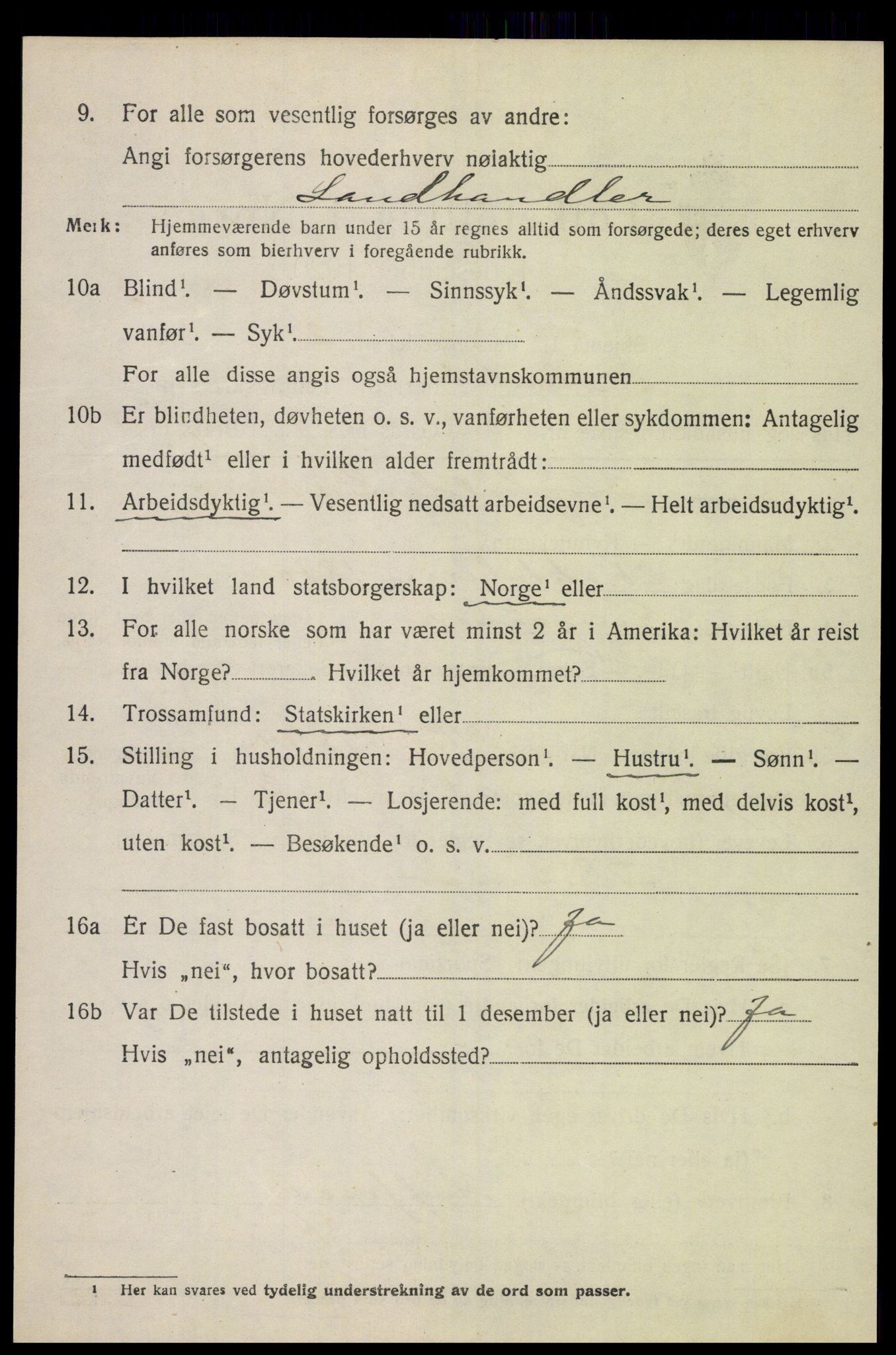 SAH, 1920 census for Heidal, 1920, p. 1407