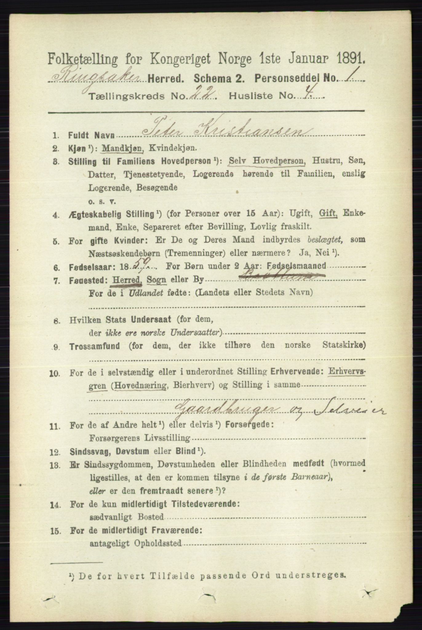 RA, 1891 census for 0412 Ringsaker, 1891, p. 12391