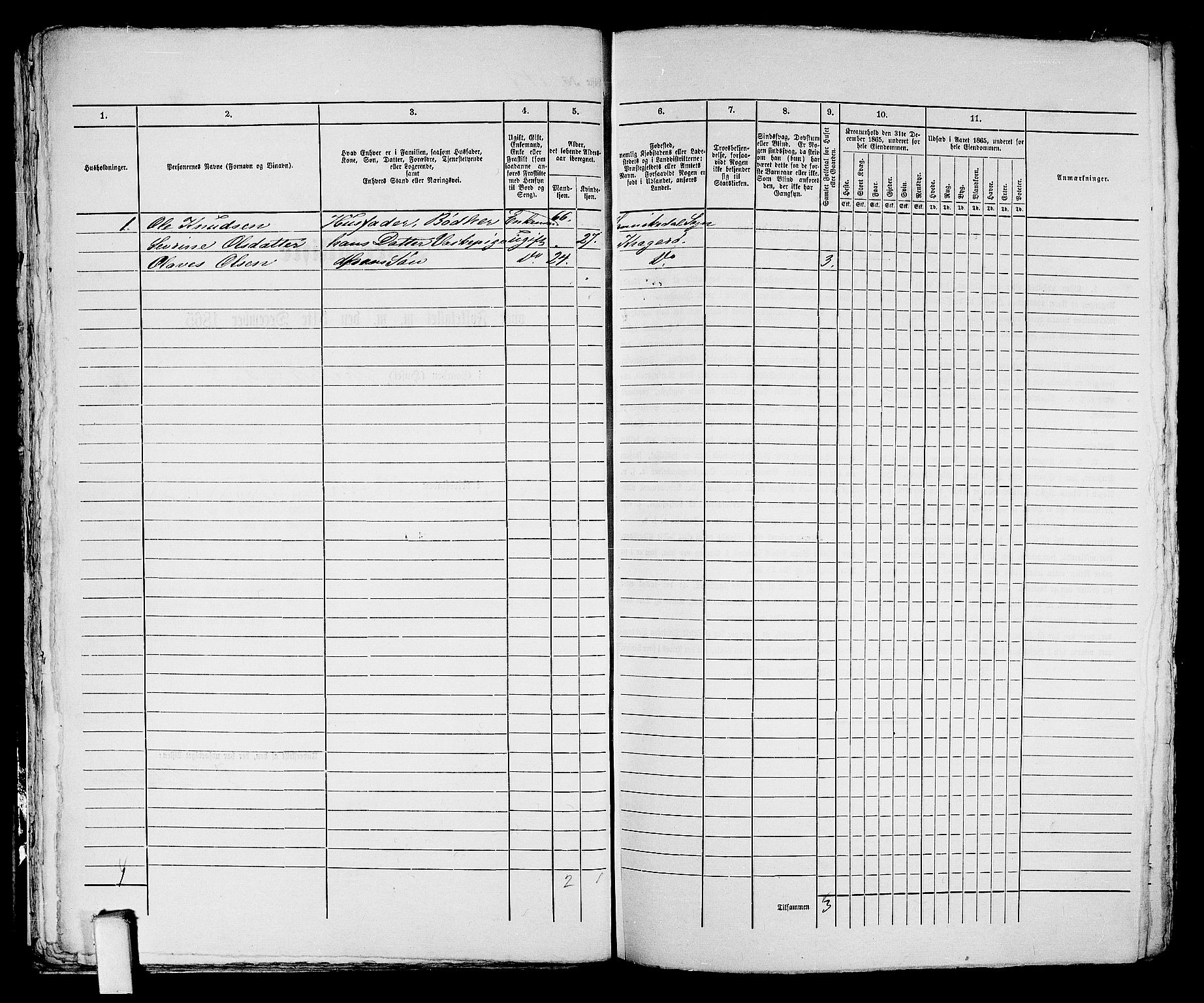 RA, 1865 census for Kragerø/Kragerø, 1865, p. 650