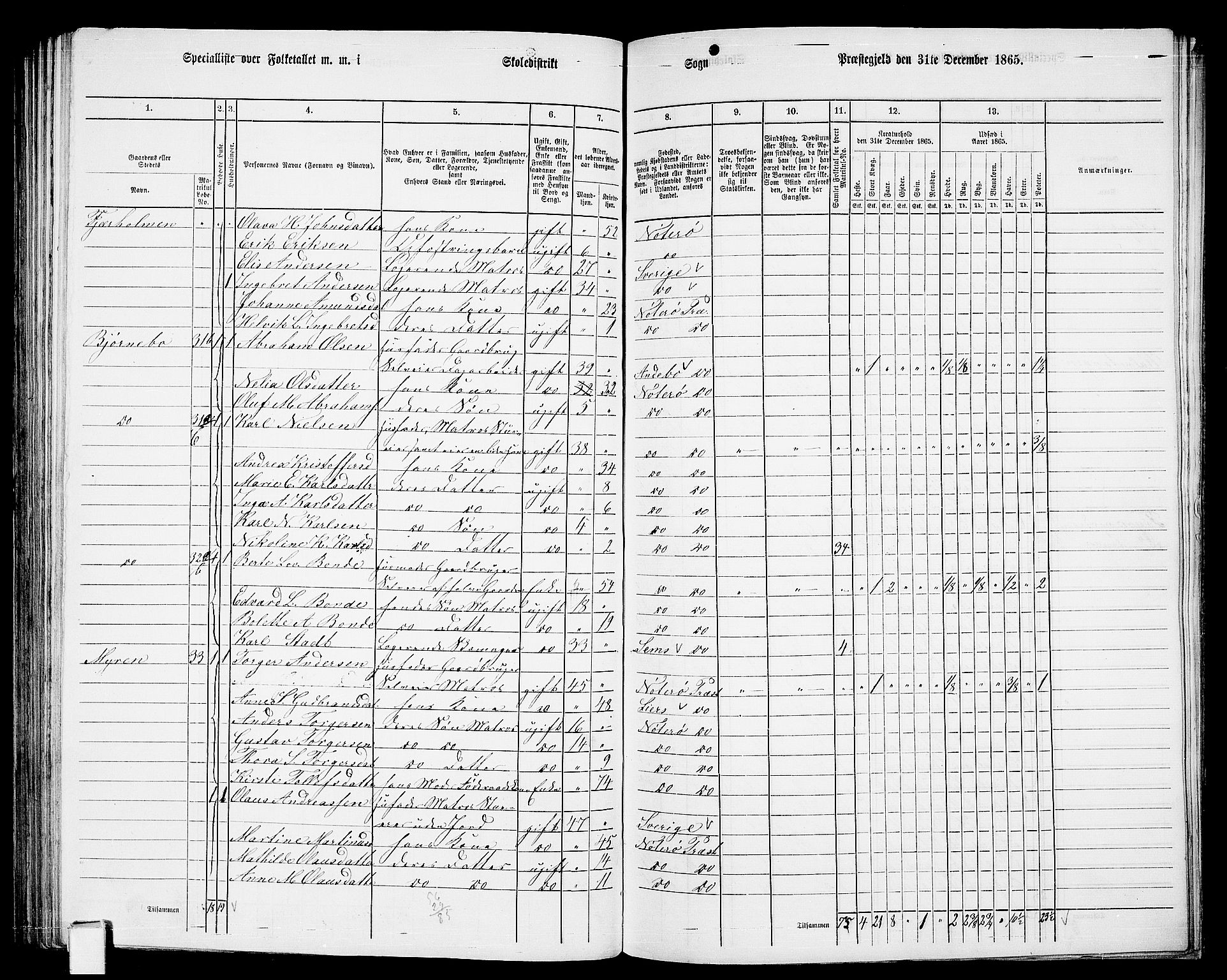 RA, 1865 census for Nøtterøy, 1865, p. 183