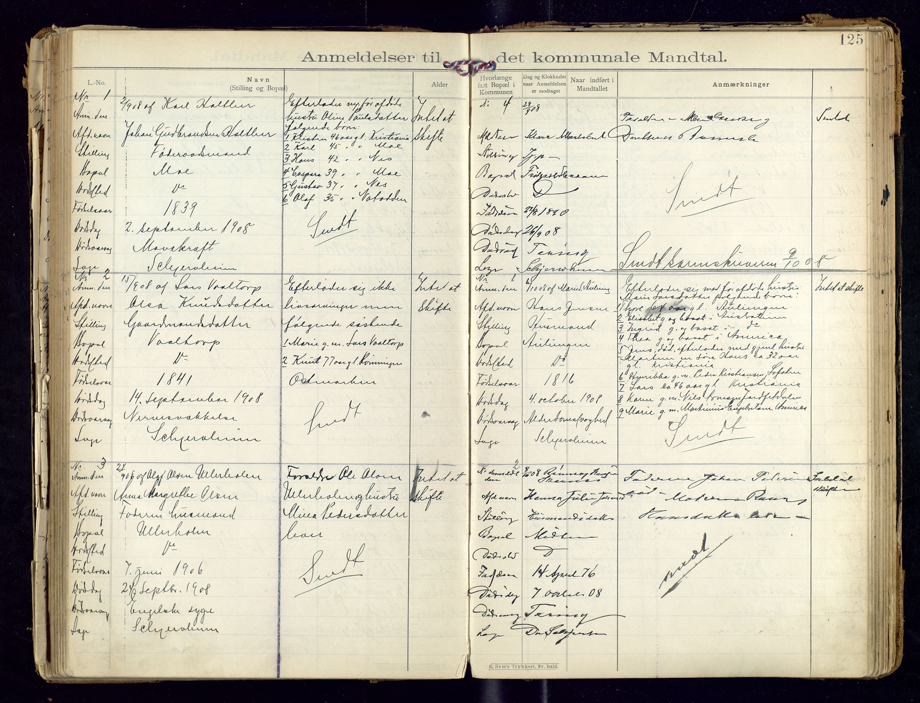 Sør-Odal lensmannskontor, AV/SAH-LHS-022/H/Hb/L0001/0002: Protokoller over anmeldte dødsfall / Protokoll over anmeldte dødsfall, 1901-1913, p. 125