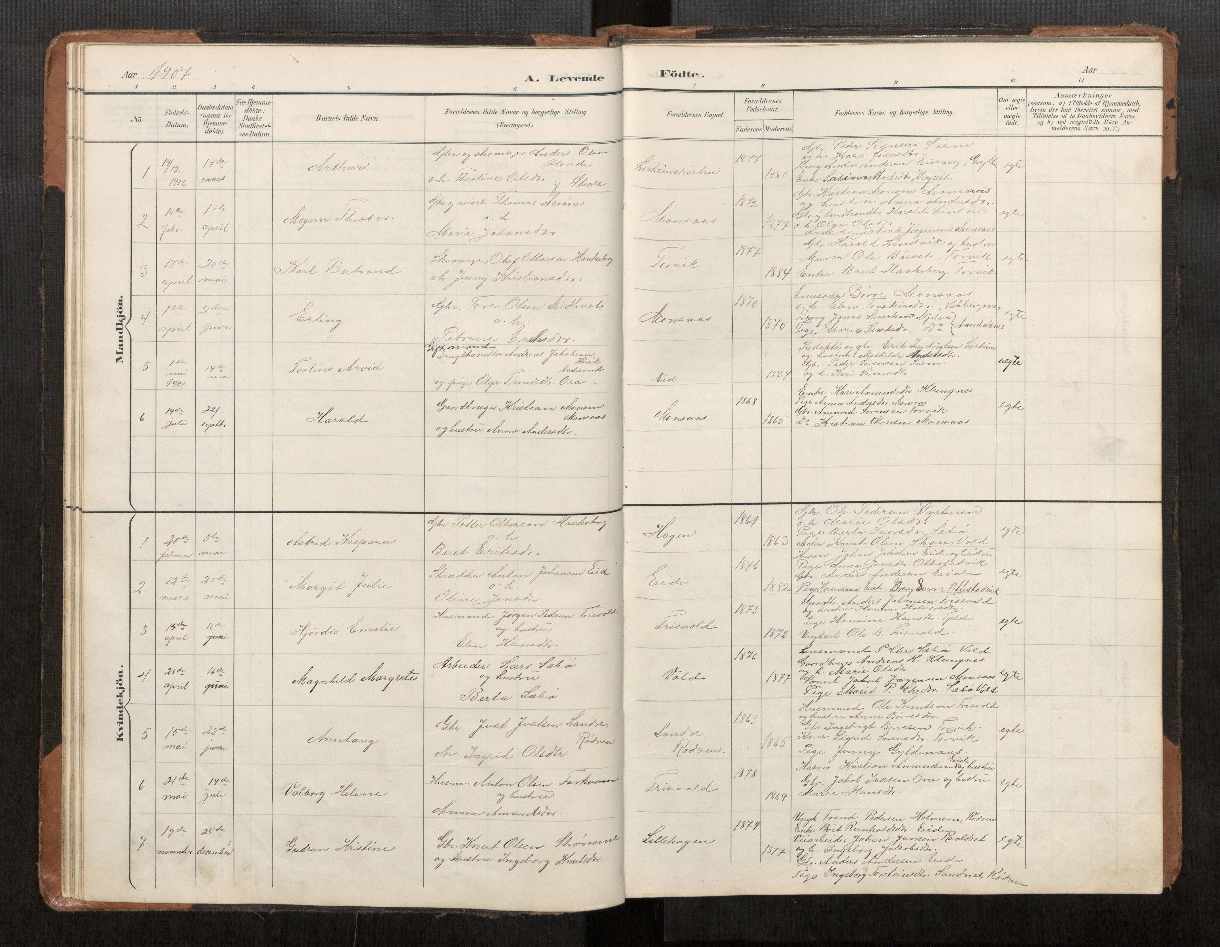 Ministerialprotokoller, klokkerbøker og fødselsregistre - Møre og Romsdal, AV/SAT-A-1454/542/L0561: Parish register (copy) no. 542C03, 1893-1931