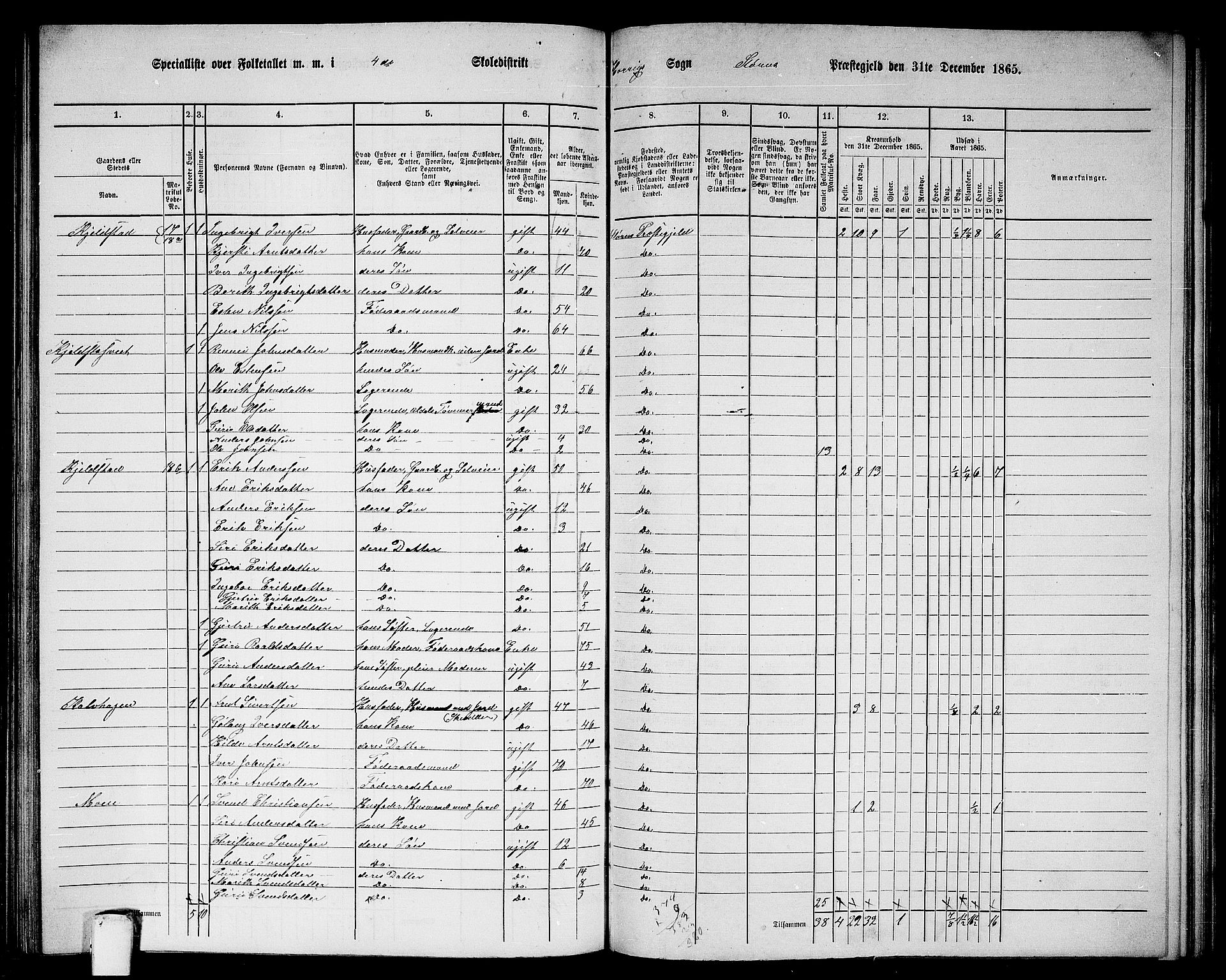 RA, 1865 census for Støren, 1865, p. 181