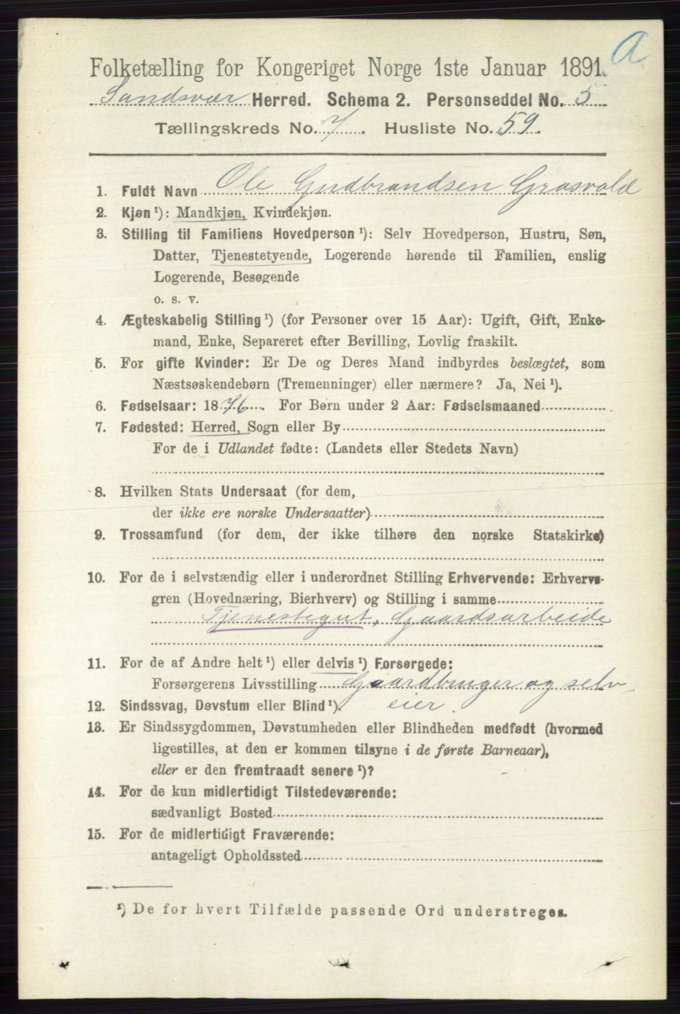 RA, 1891 census for 0629 Sandsvær, 1891, p. 4260