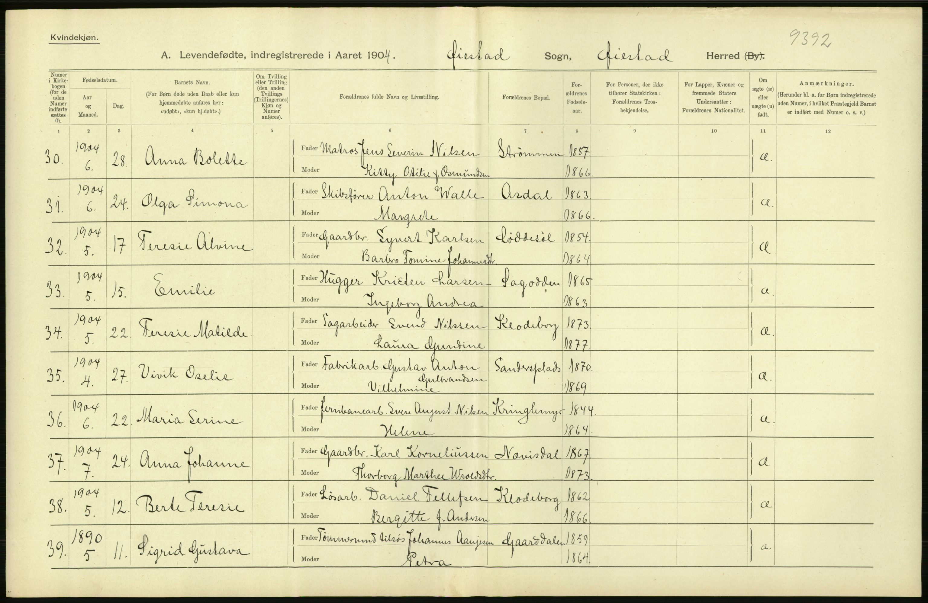 Statistisk sentralbyrå, Sosiodemografiske emner, Befolkning, AV/RA-S-2228/D/Df/Dfa/Dfab/L0010: Nedenes amt: Fødte, gifte, døde, 1904, p. 24