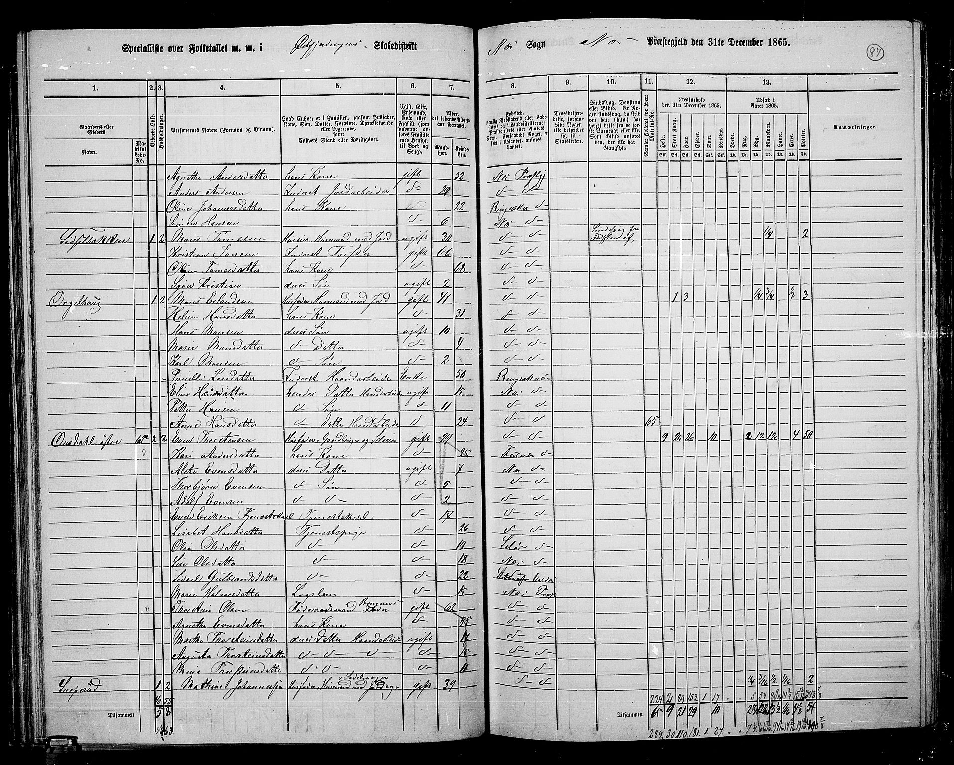 RA, 1865 census for Nes, 1865, p. 75