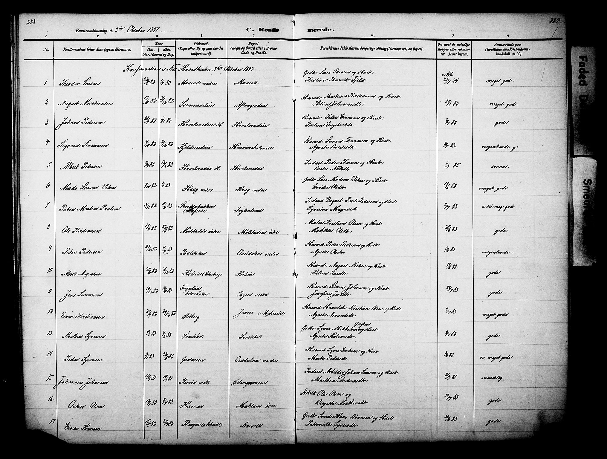 Nes prestekontor, Hedmark, AV/SAH-PREST-020/L/La/L0006: Parish register (copy) no. 6, 1890-1932, p. 223-224