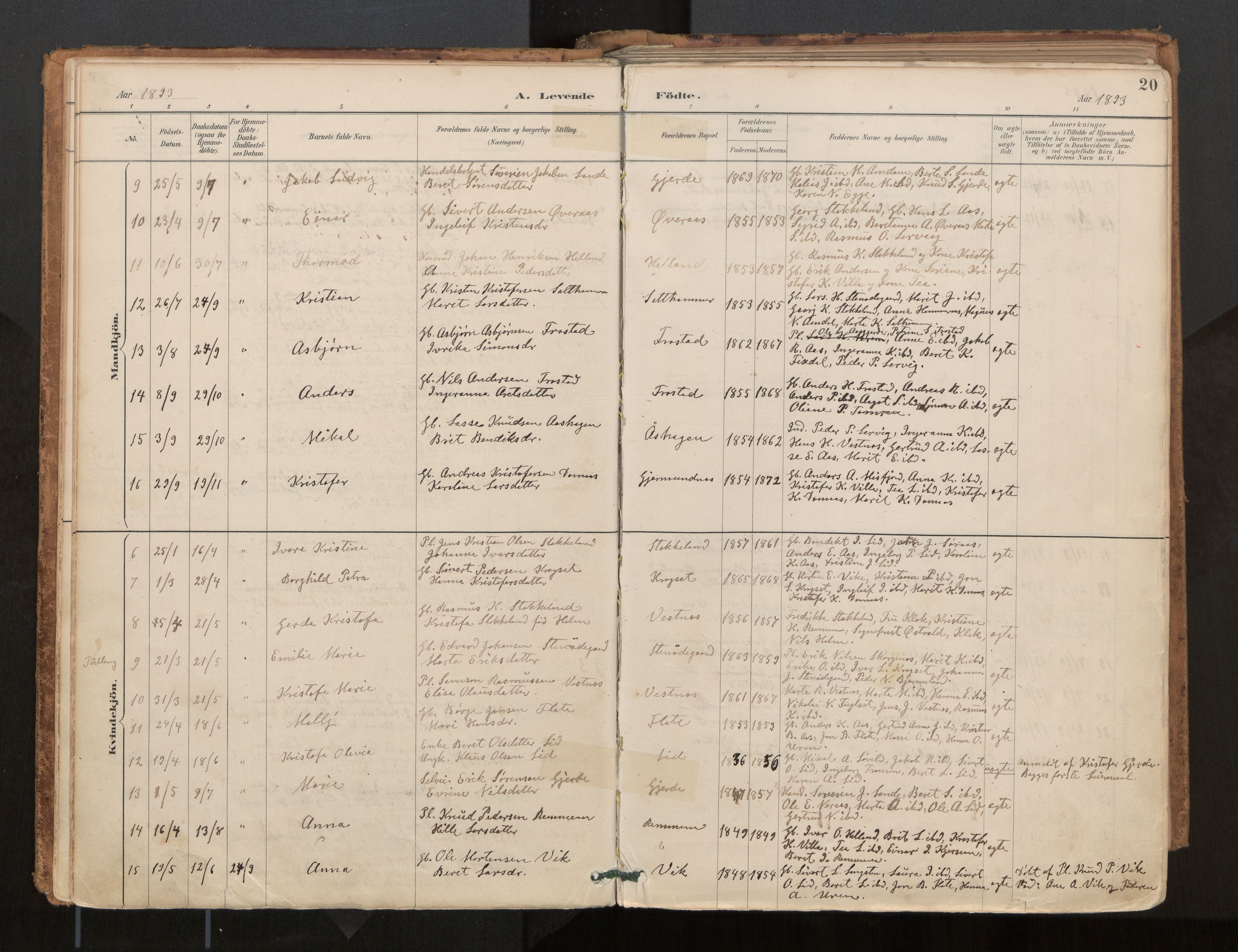 Ministerialprotokoller, klokkerbøker og fødselsregistre - Møre og Romsdal, AV/SAT-A-1454/539/L0531: Parish register (official) no. 539A04, 1887-1913, p. 20