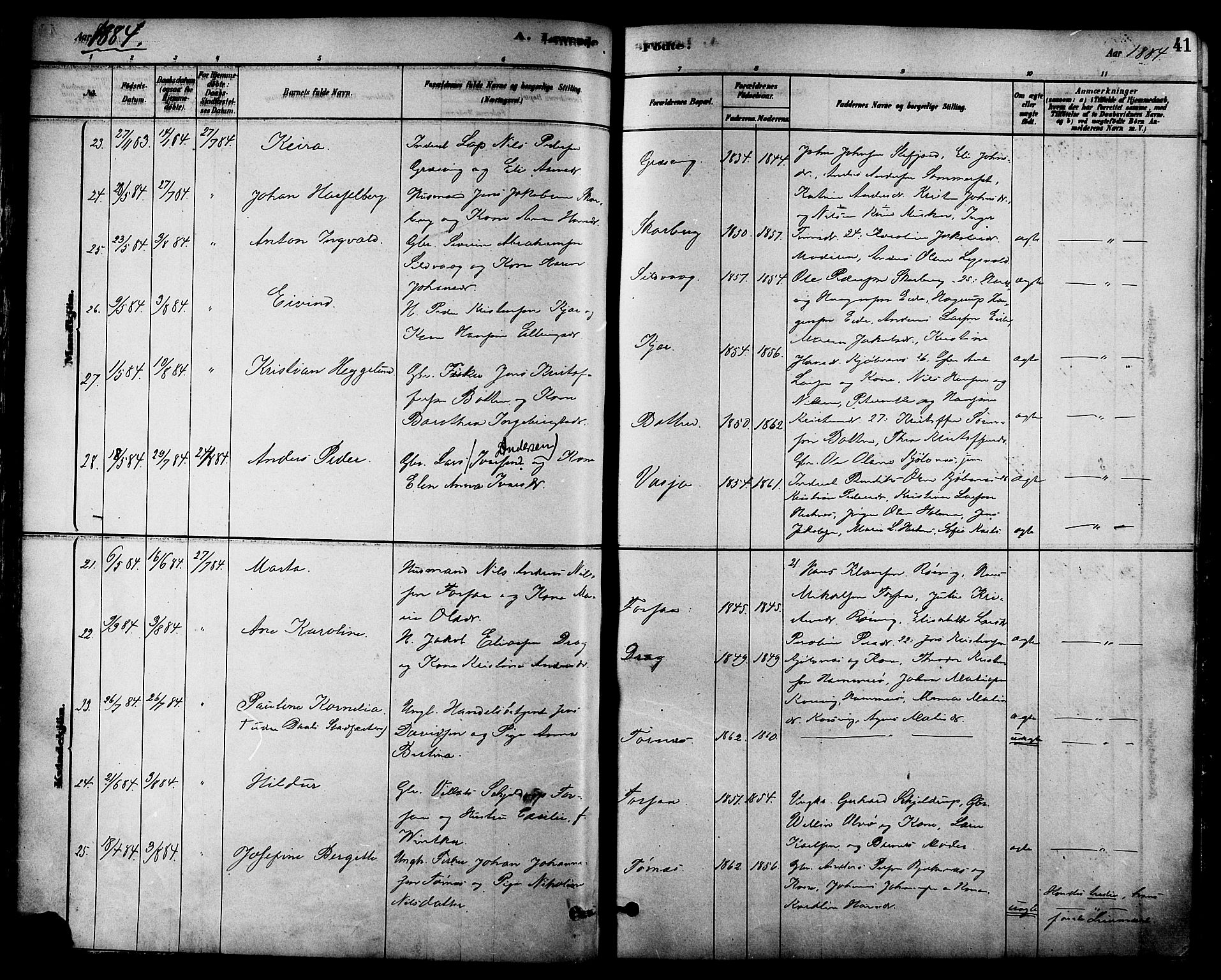 Ministerialprotokoller, klokkerbøker og fødselsregistre - Nordland, AV/SAT-A-1459/861/L0868: Parish register (official) no. 861A03, 1879-1889, p. 41