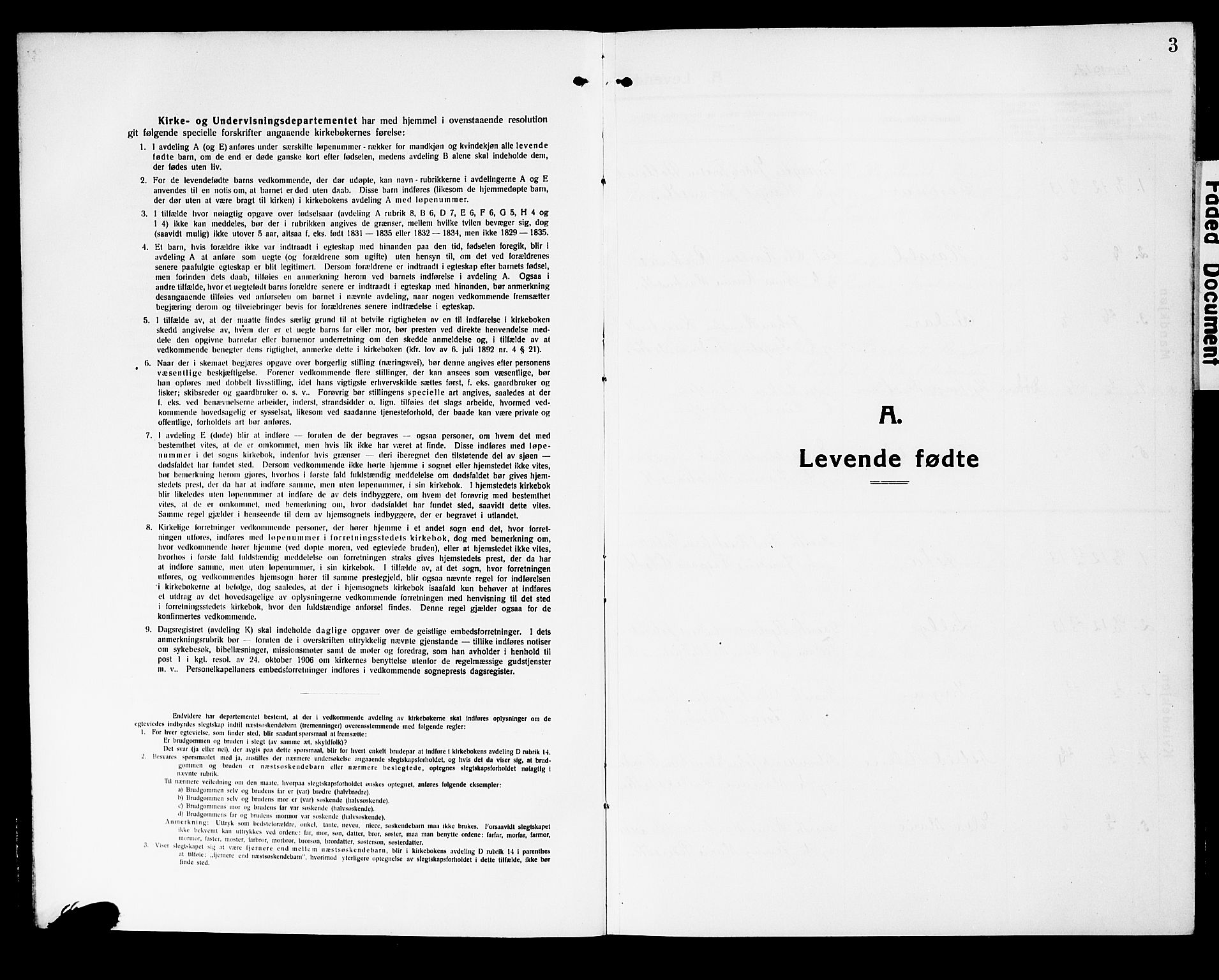 Fiskum kirkebøker, AV/SAKO-A-15/G/Ga/L0006: Parish register (copy) no. 6, 1913-1927, p. 3