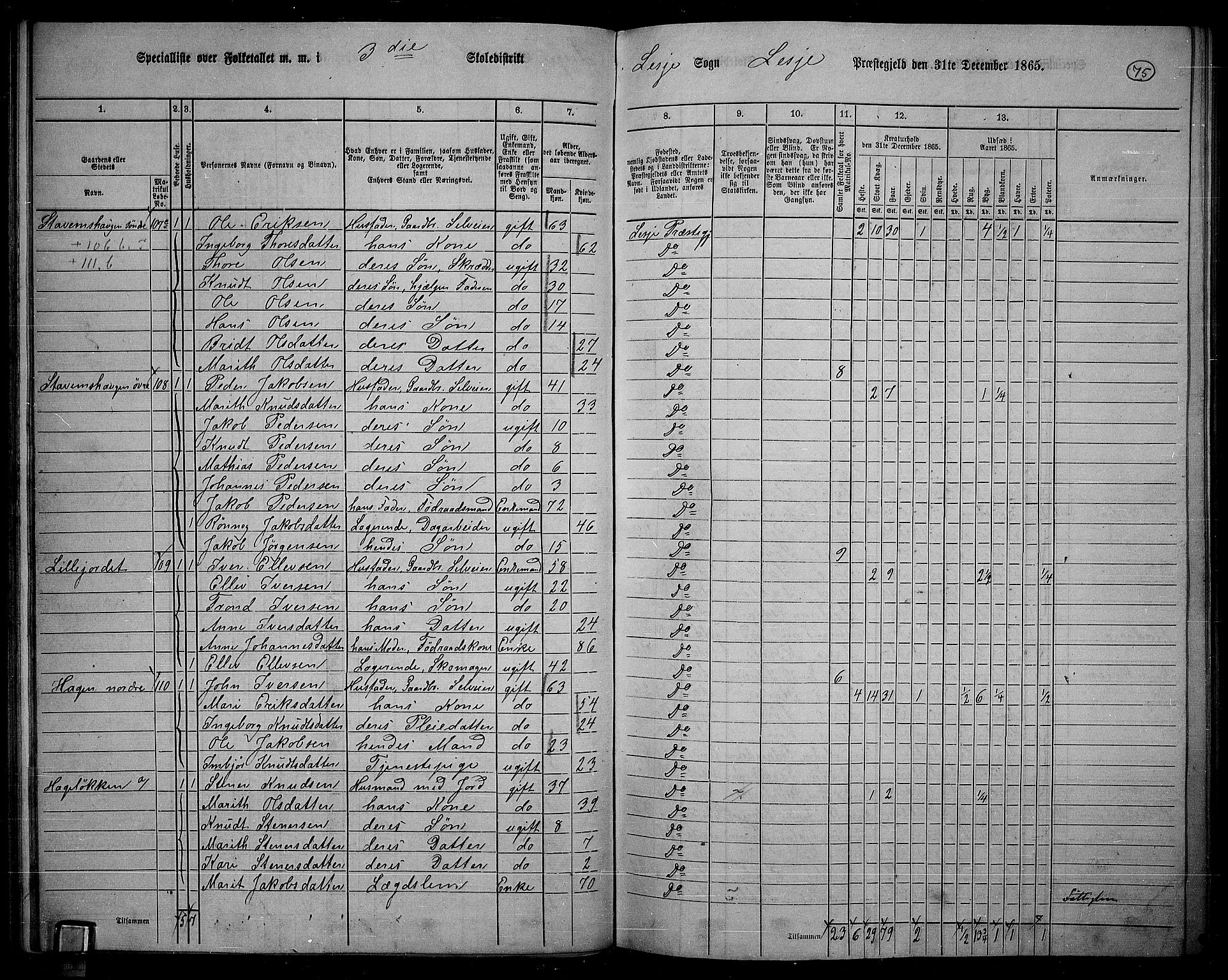 RA, 1865 census for Lesja, 1865, p. 65