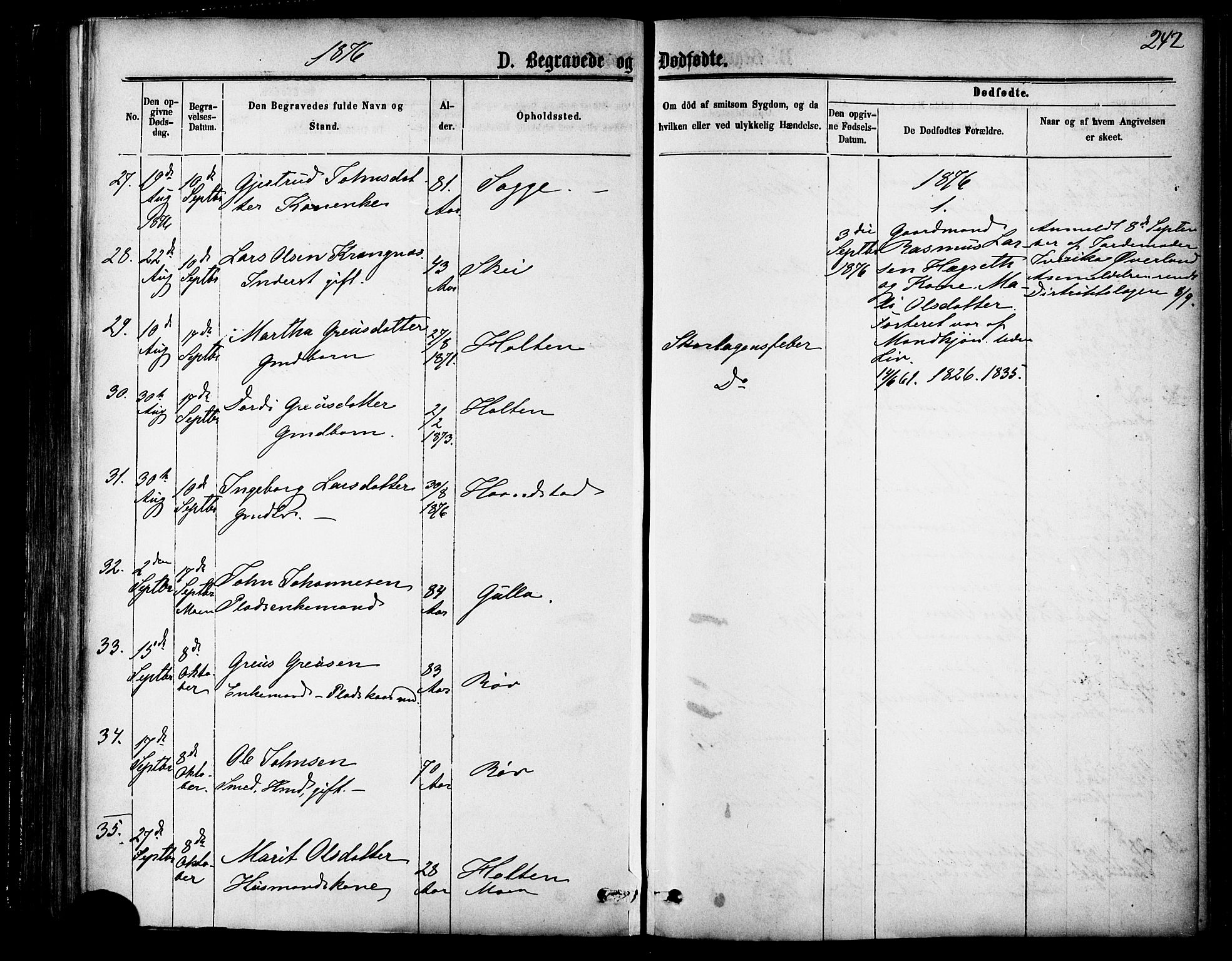 Ministerialprotokoller, klokkerbøker og fødselsregistre - Møre og Romsdal, AV/SAT-A-1454/595/L1046: Parish register (official) no. 595A08, 1874-1884, p. 242