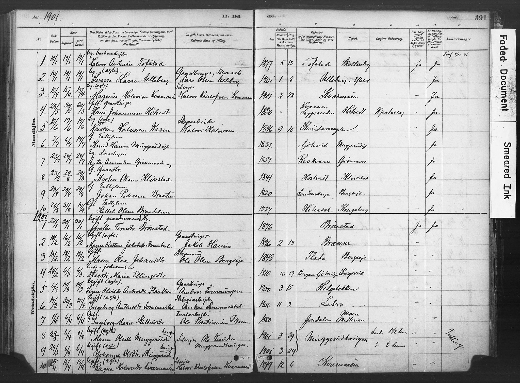 Sandsvær kirkebøker, AV/SAKO-A-244/F/Fd/L0001: Parish register (official) no. IV 1, 1878-1906, p. 391